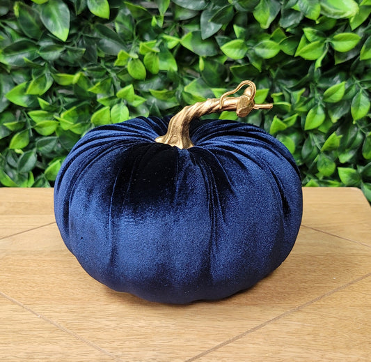Navy Pumpkin with Gold Stem