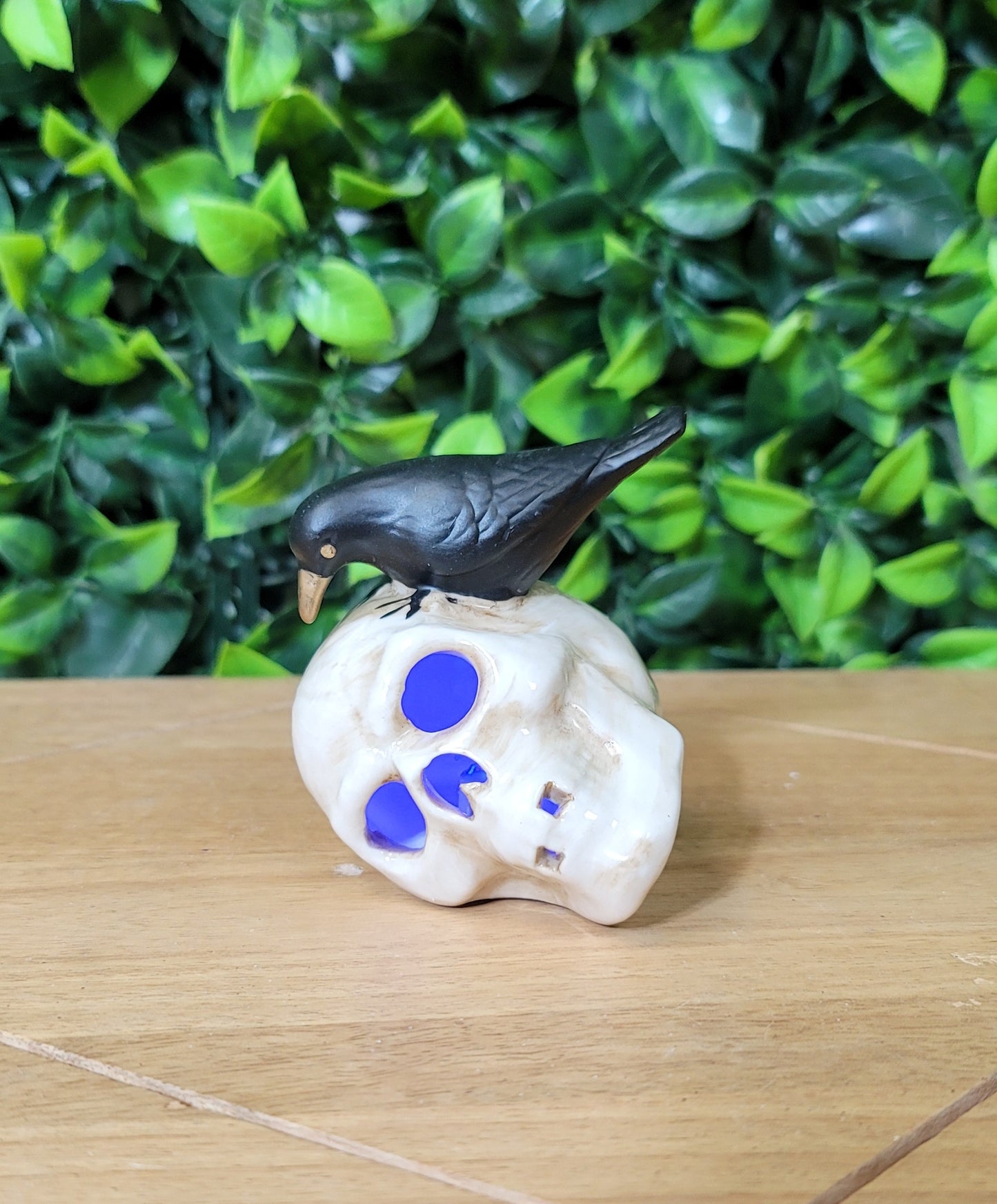 LED Skull W/Crow