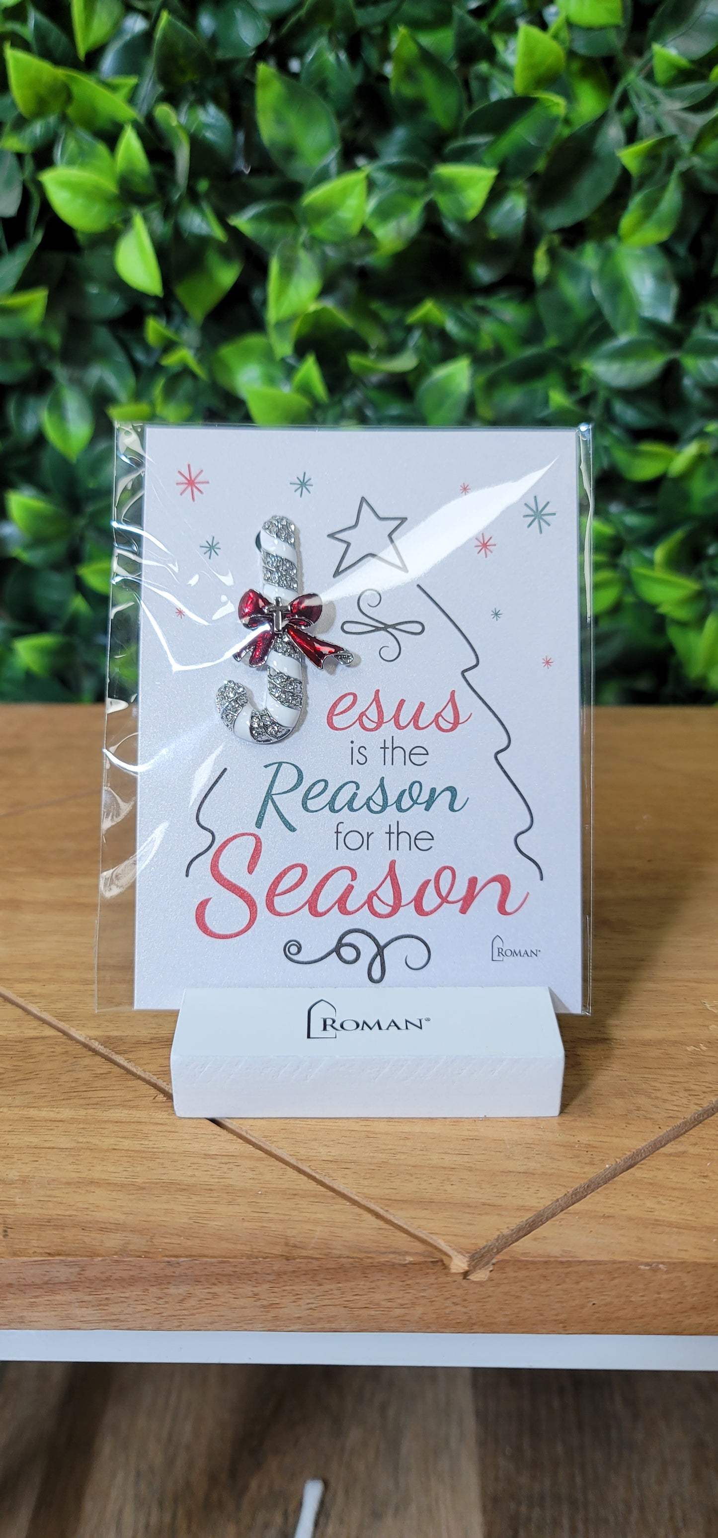 Jesus is the Reason Pin