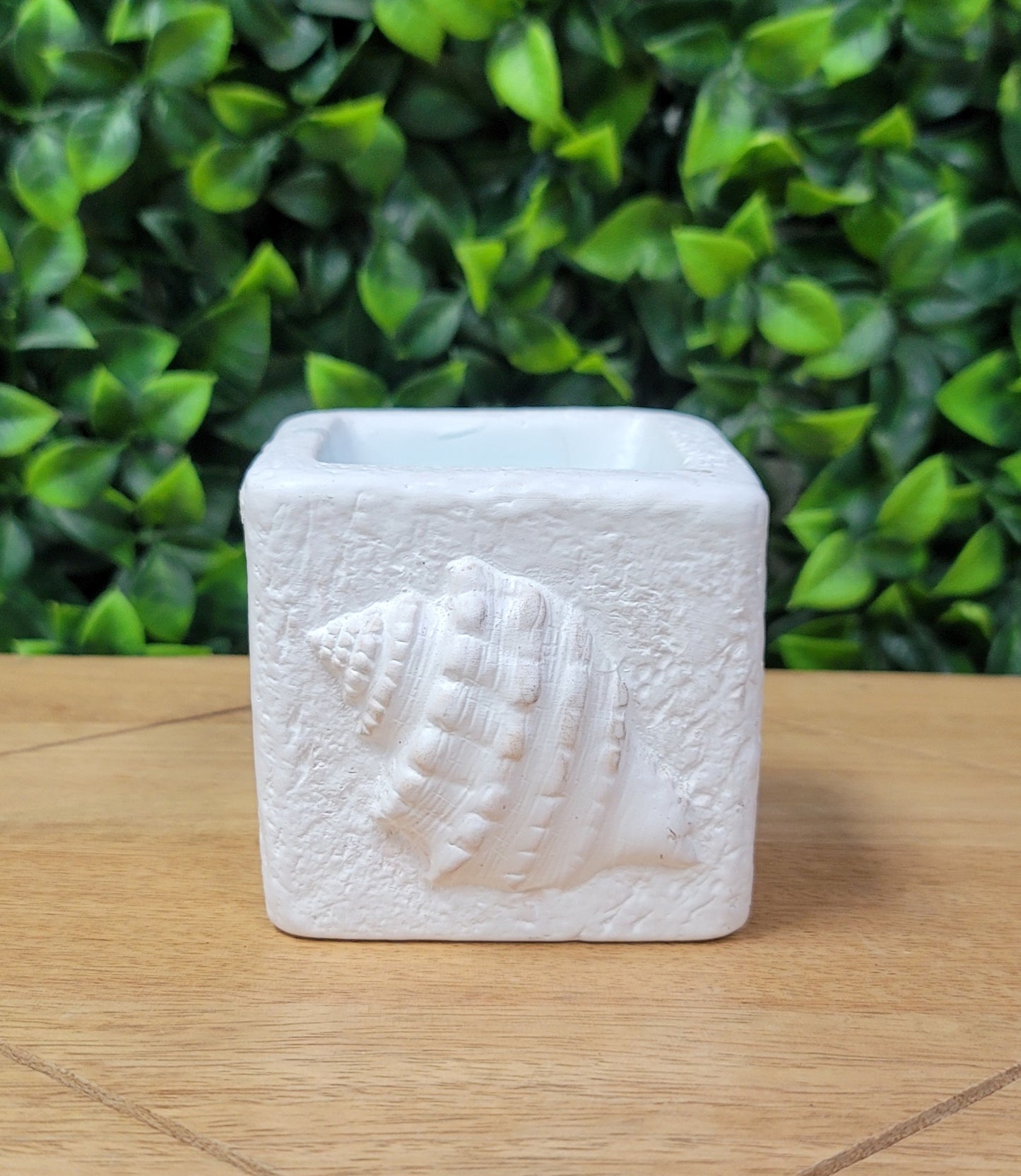 Seashell Candle