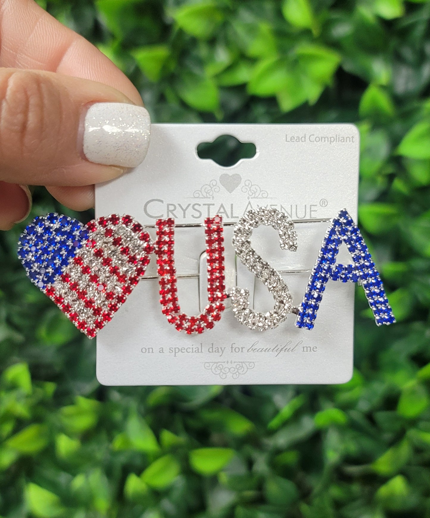 Patriotic Brooch