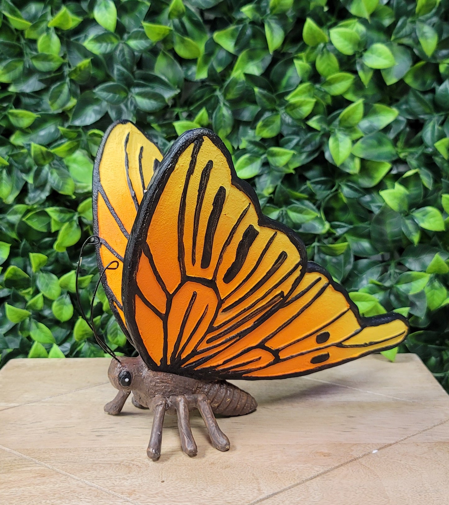 Large Butterfly
