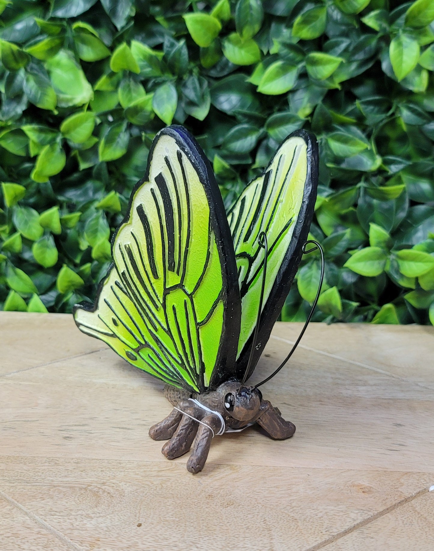 Large Butterfly