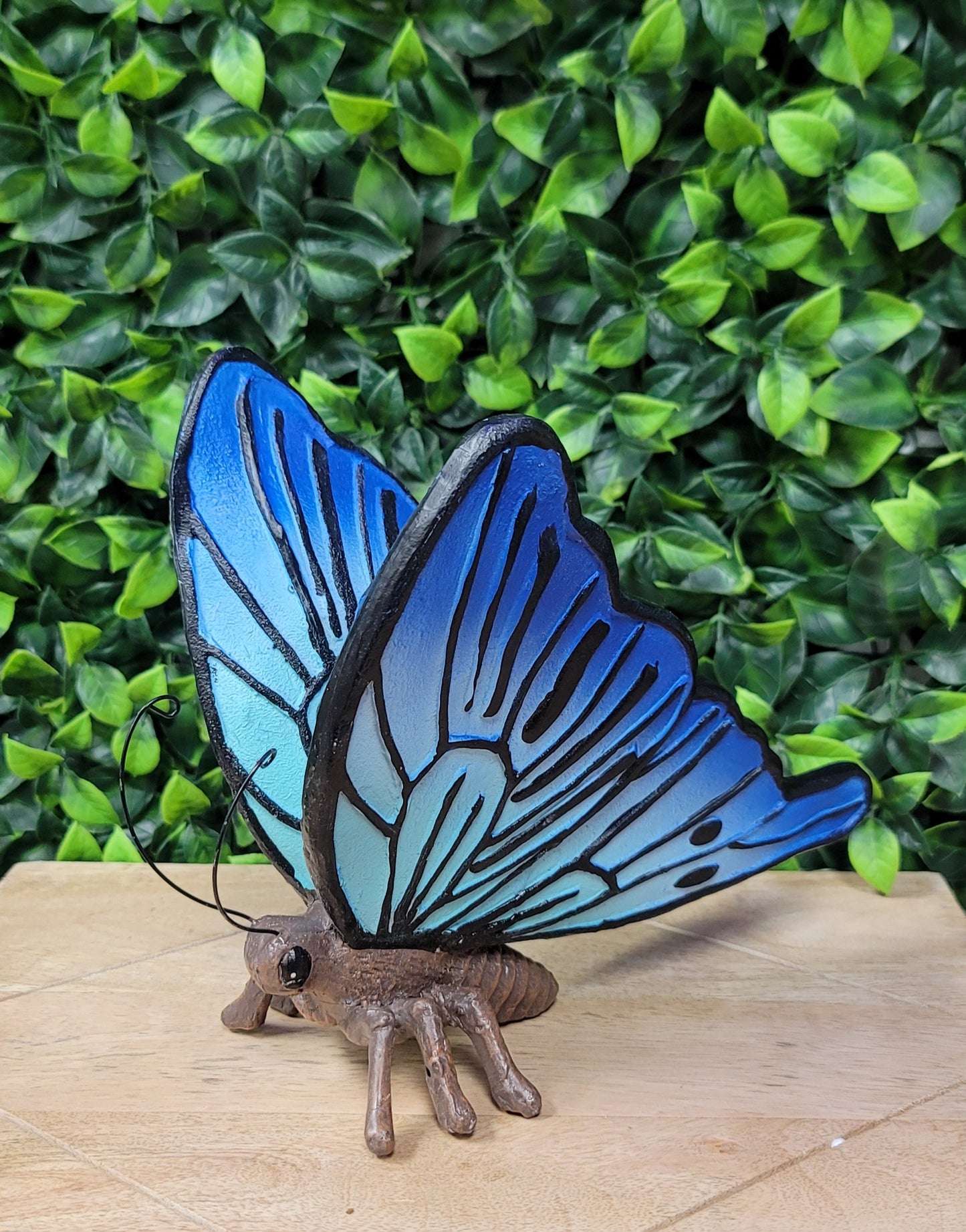 Large Butterfly