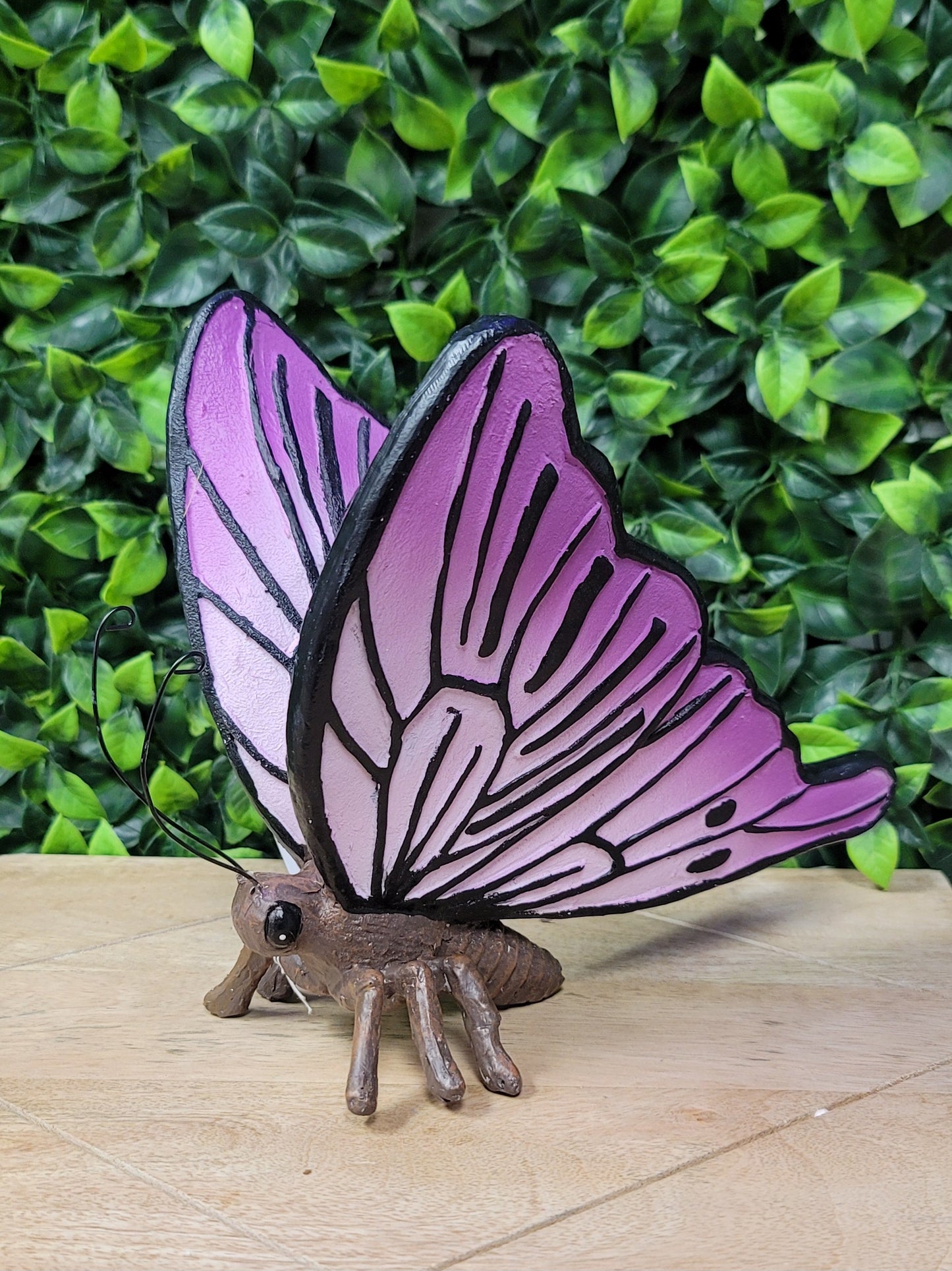 Large Butterfly