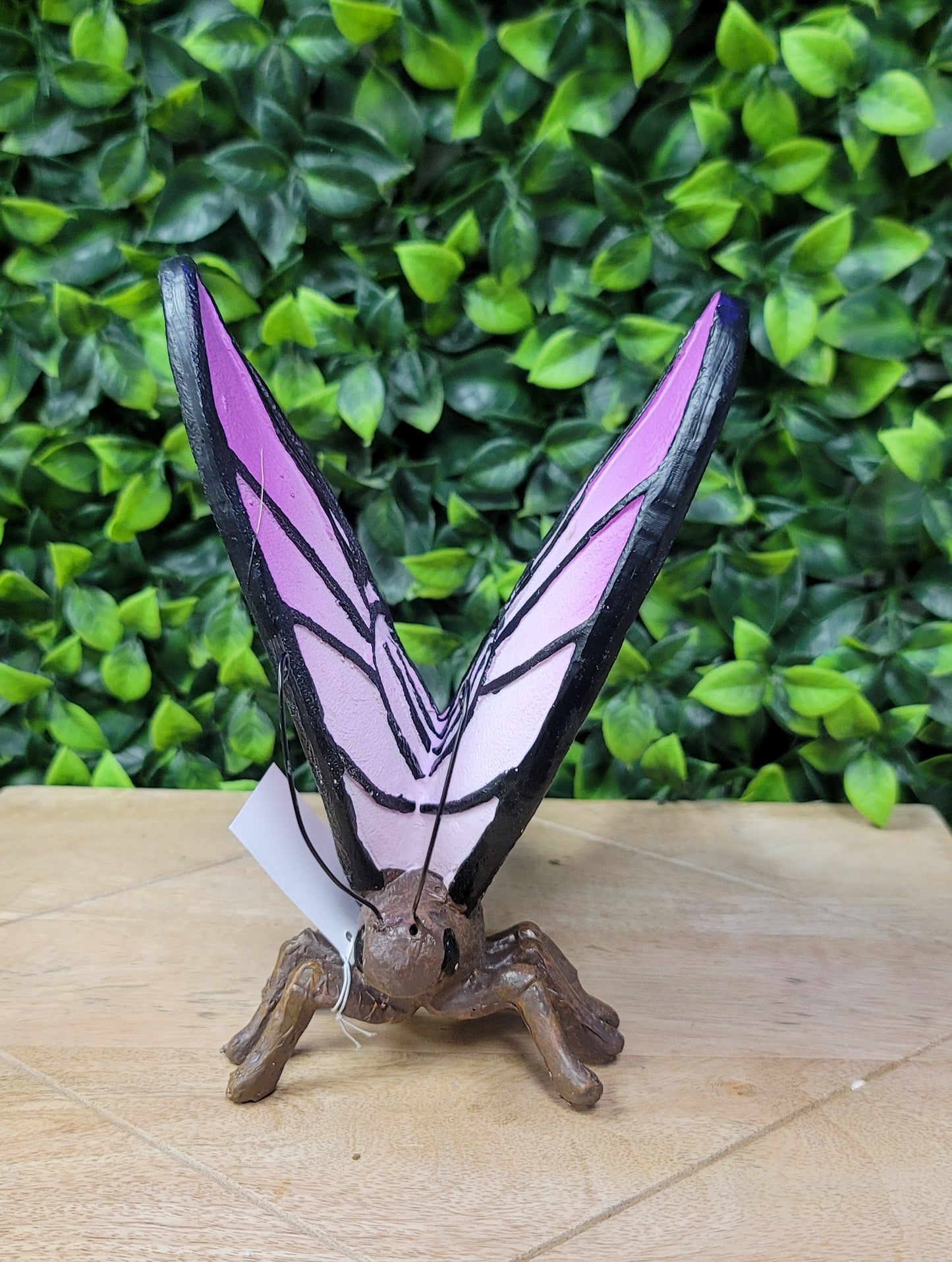 Large Butterfly