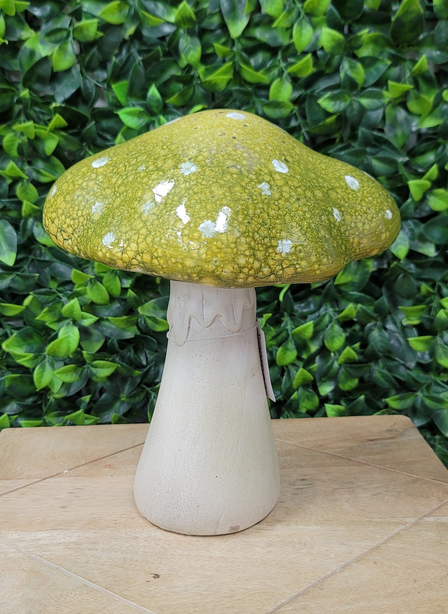 Mushroom