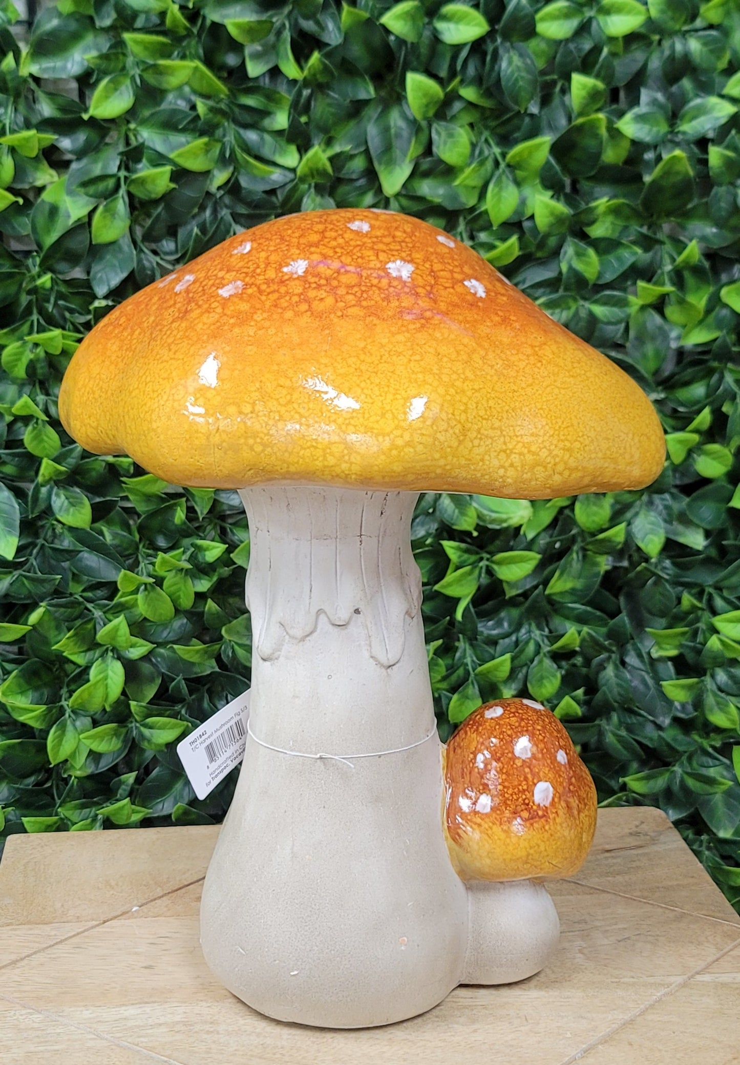 Mushroom