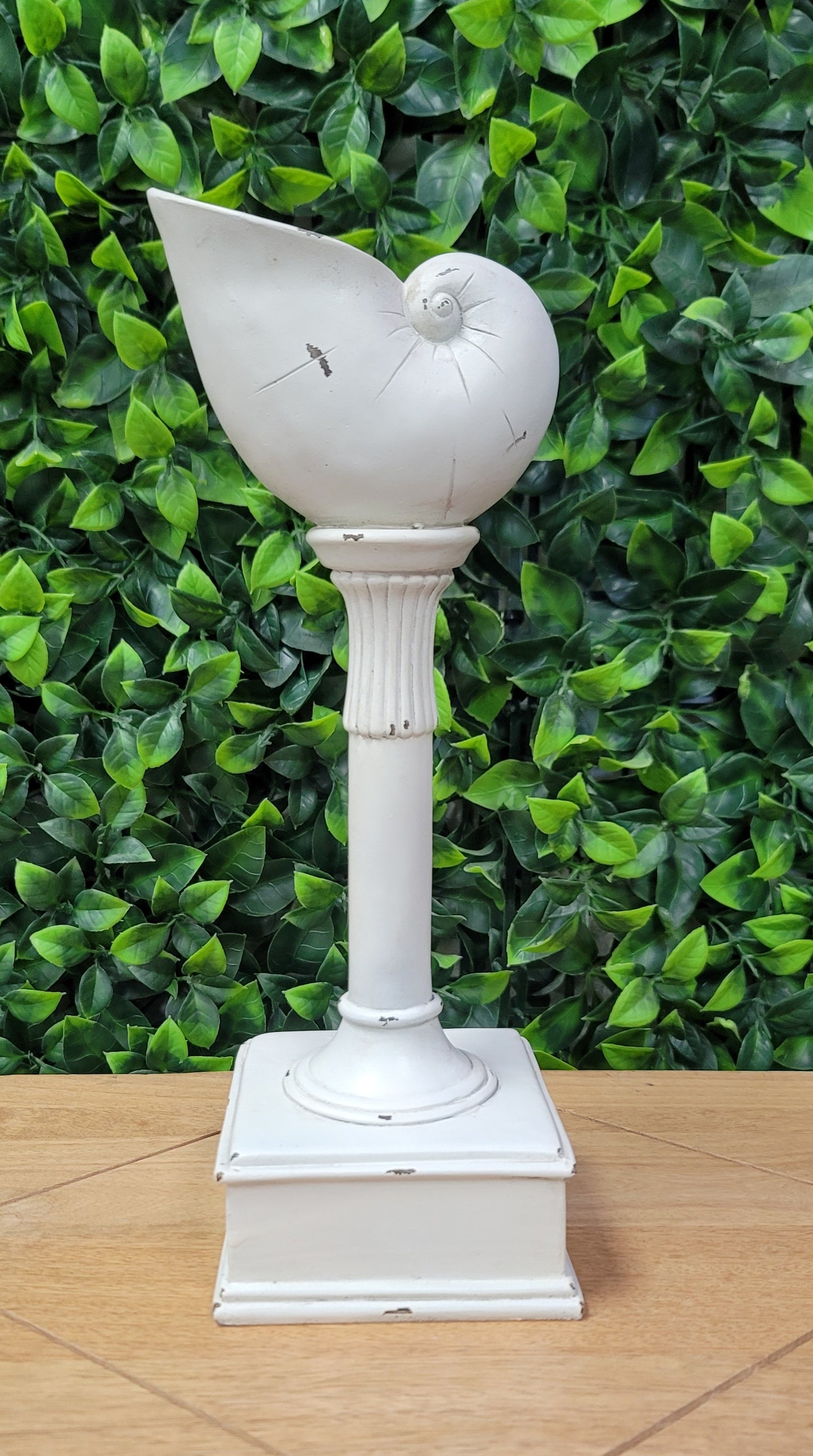 Sea Shell Stand