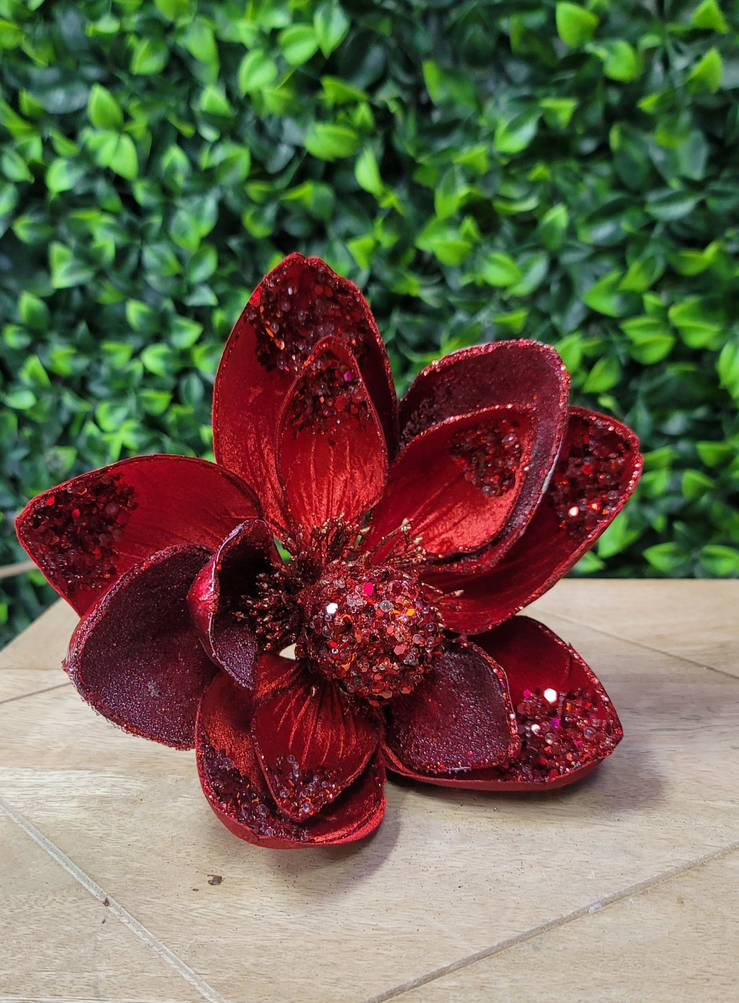 Magnolia Stem