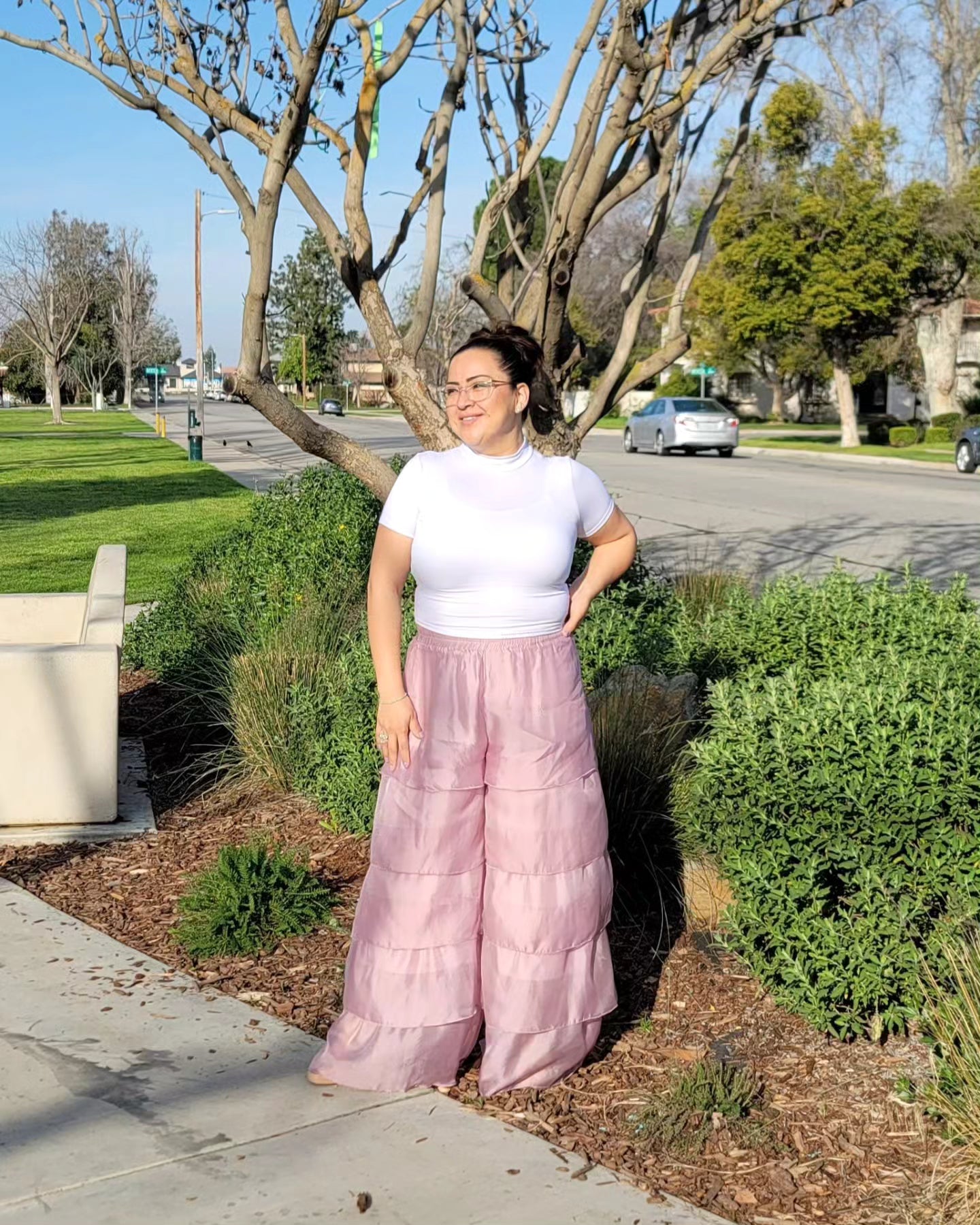 Organza Pants