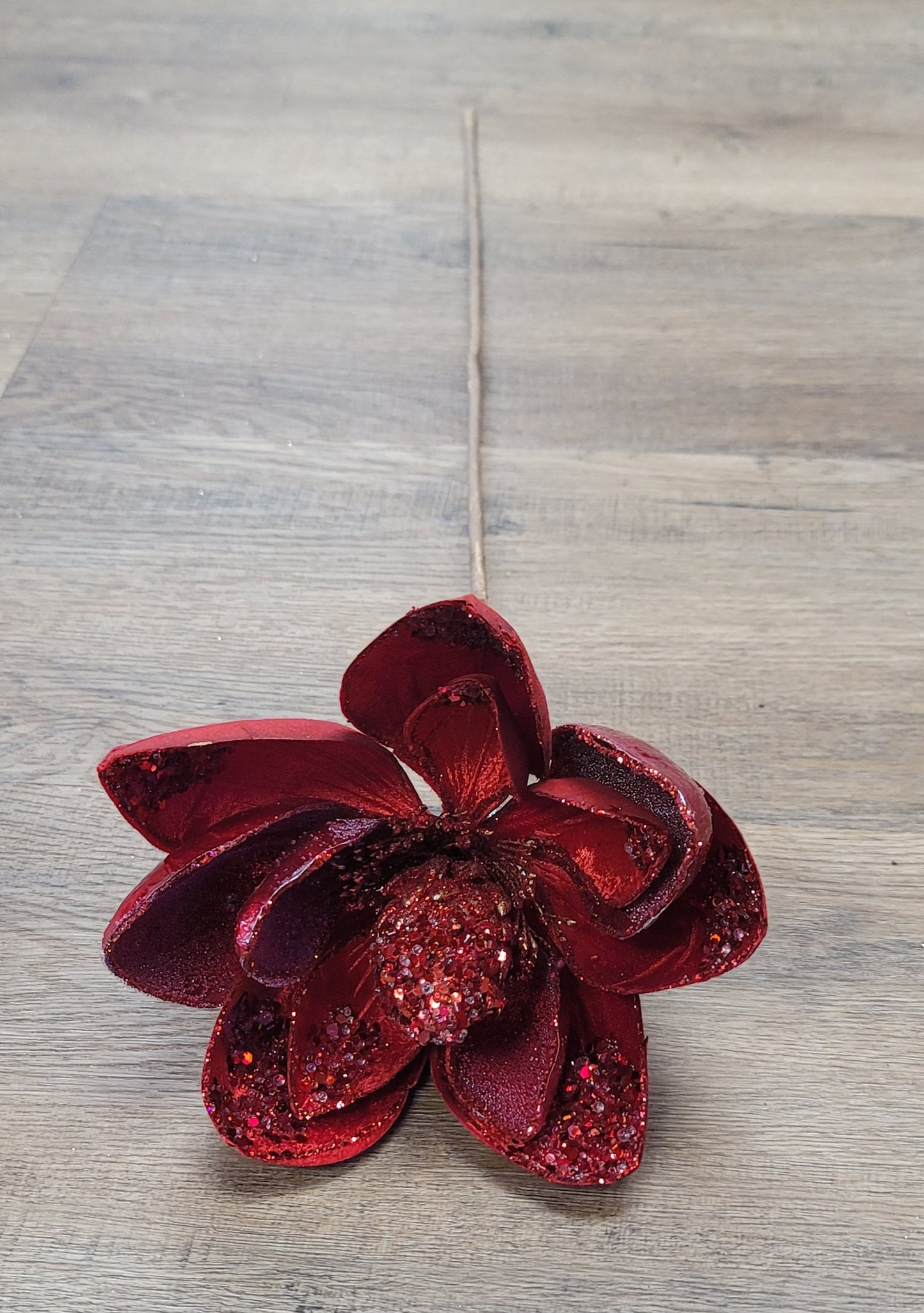 Magnolia Stem
