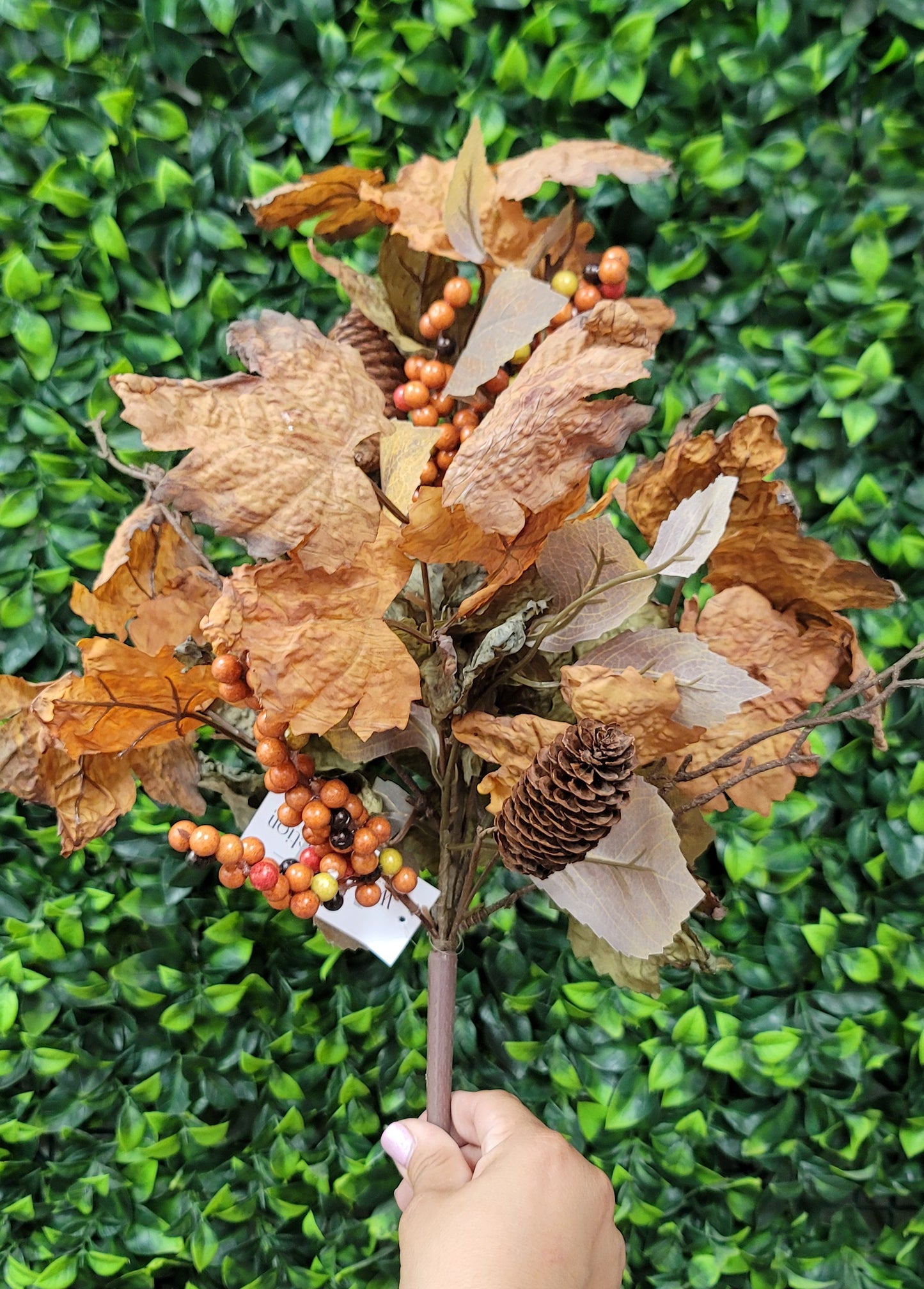Maple/ Oak Pick