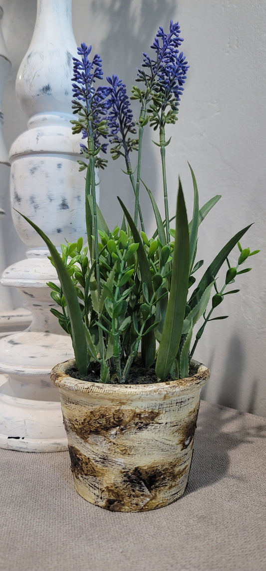 Lavender Pot