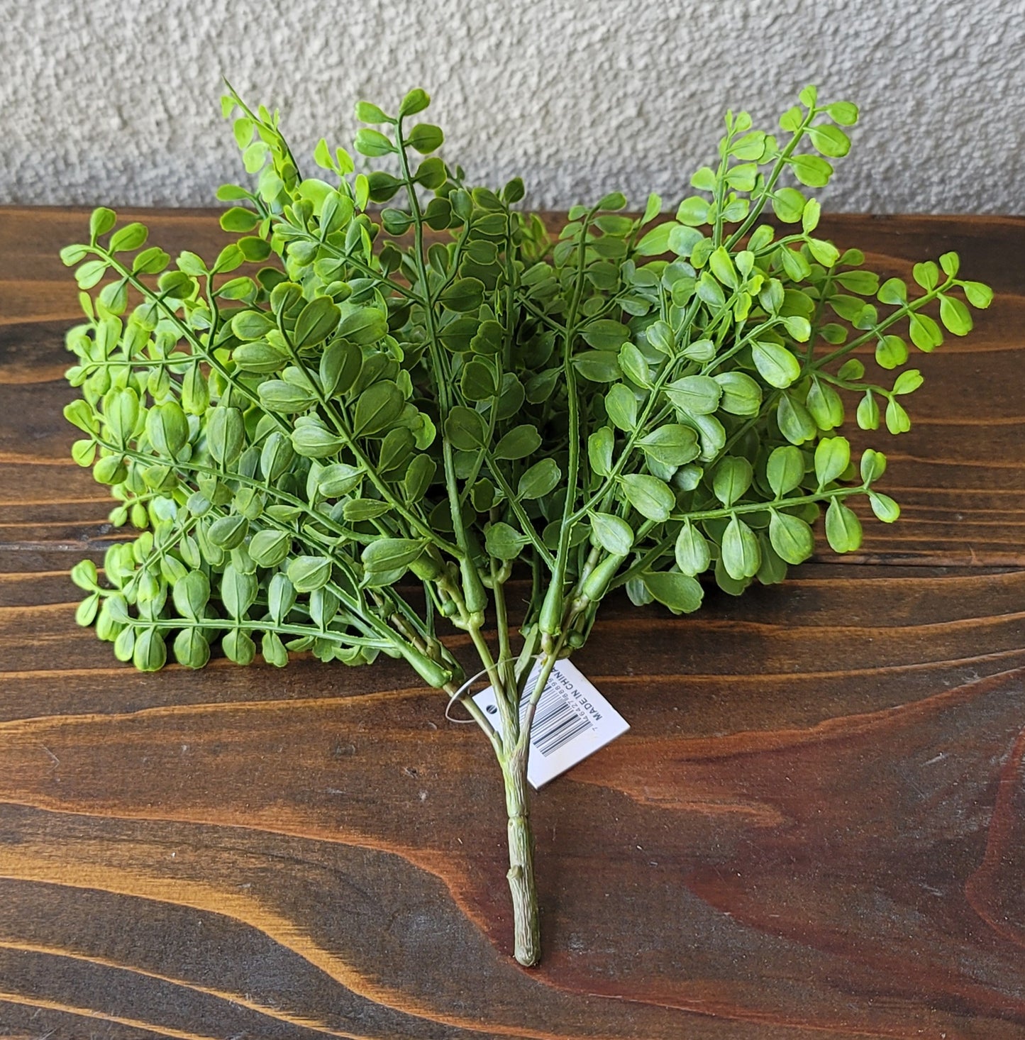 Small Fern Bush