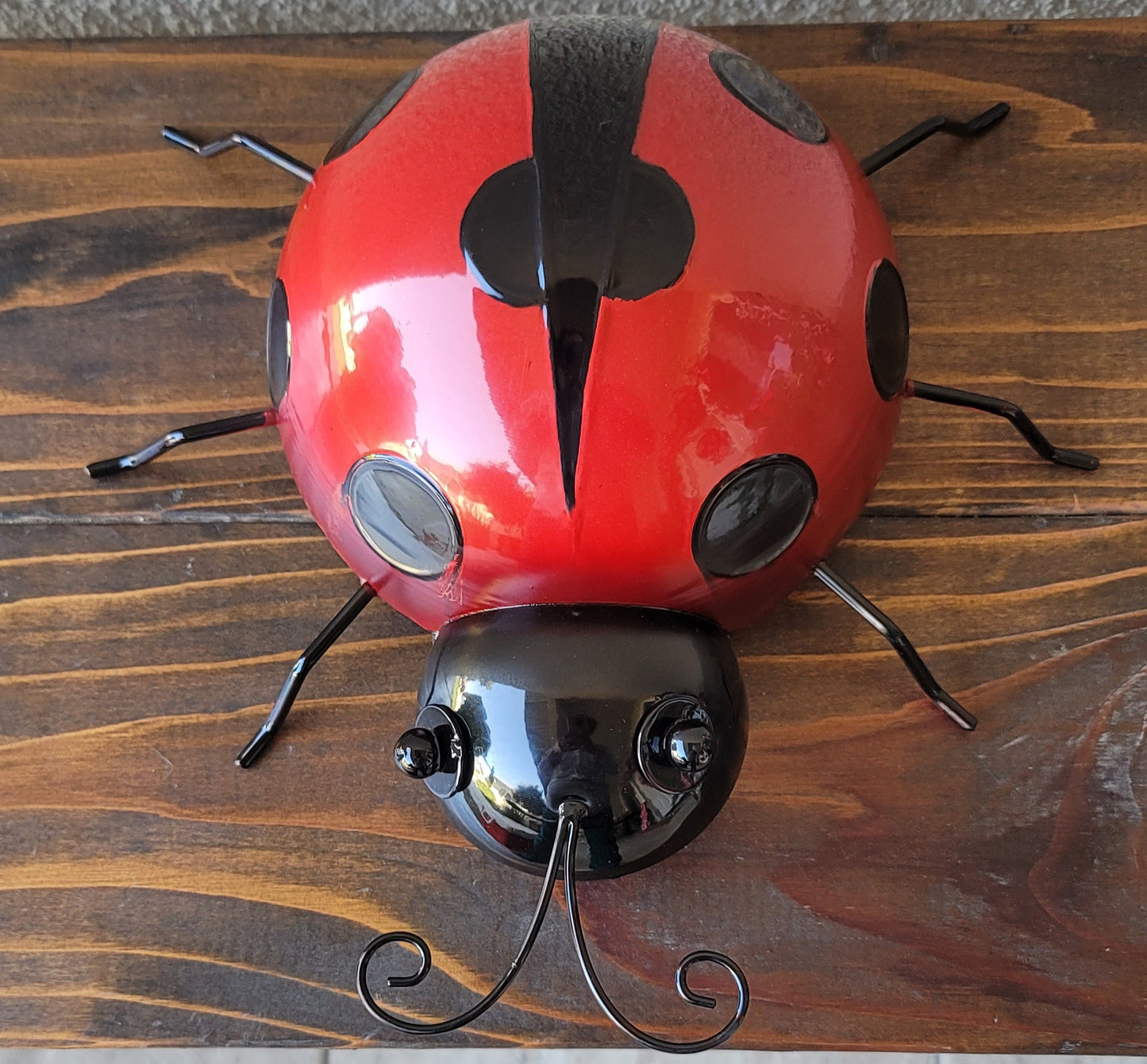 Mountable Ladybug