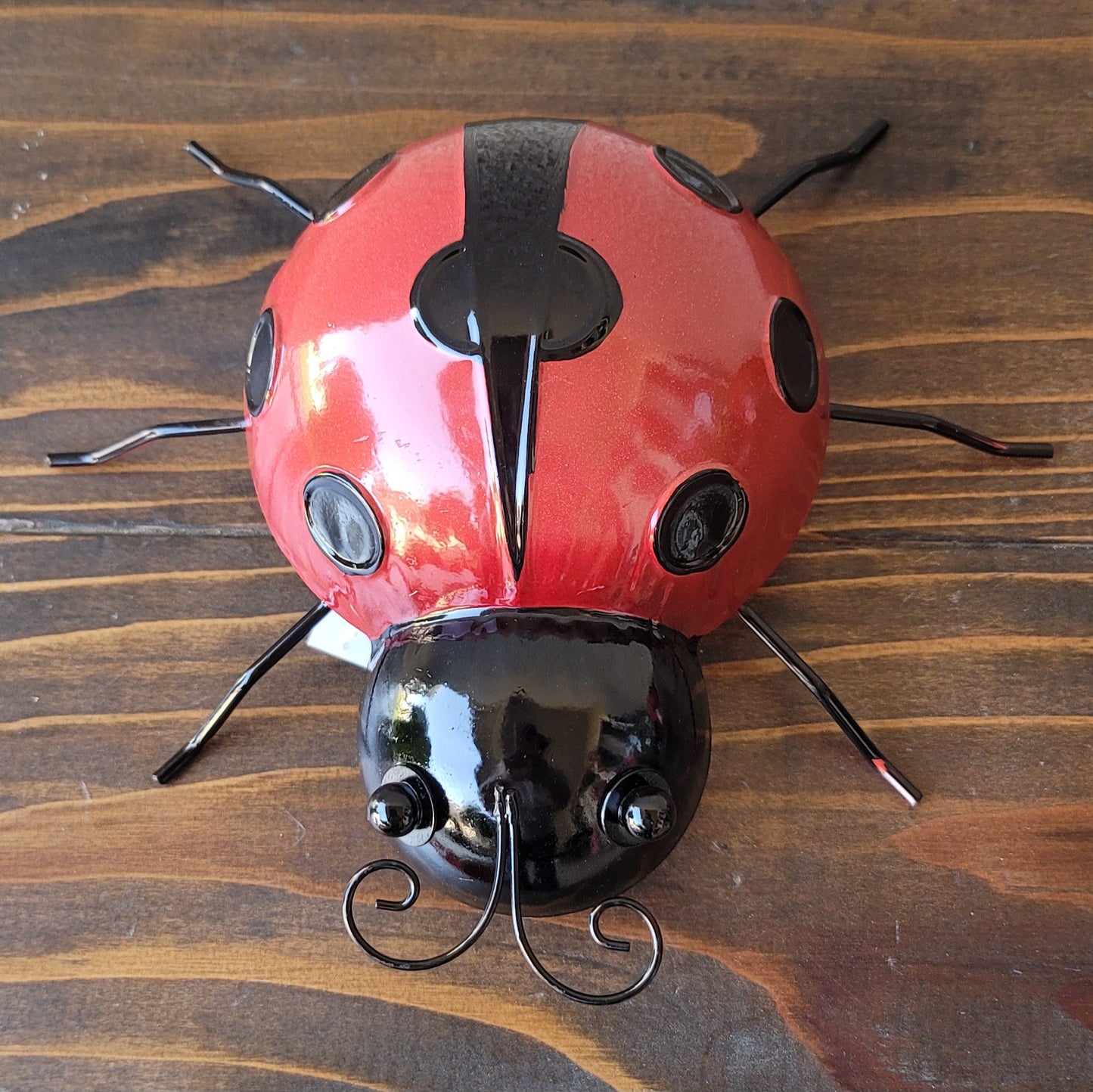 Mountable Ladybug