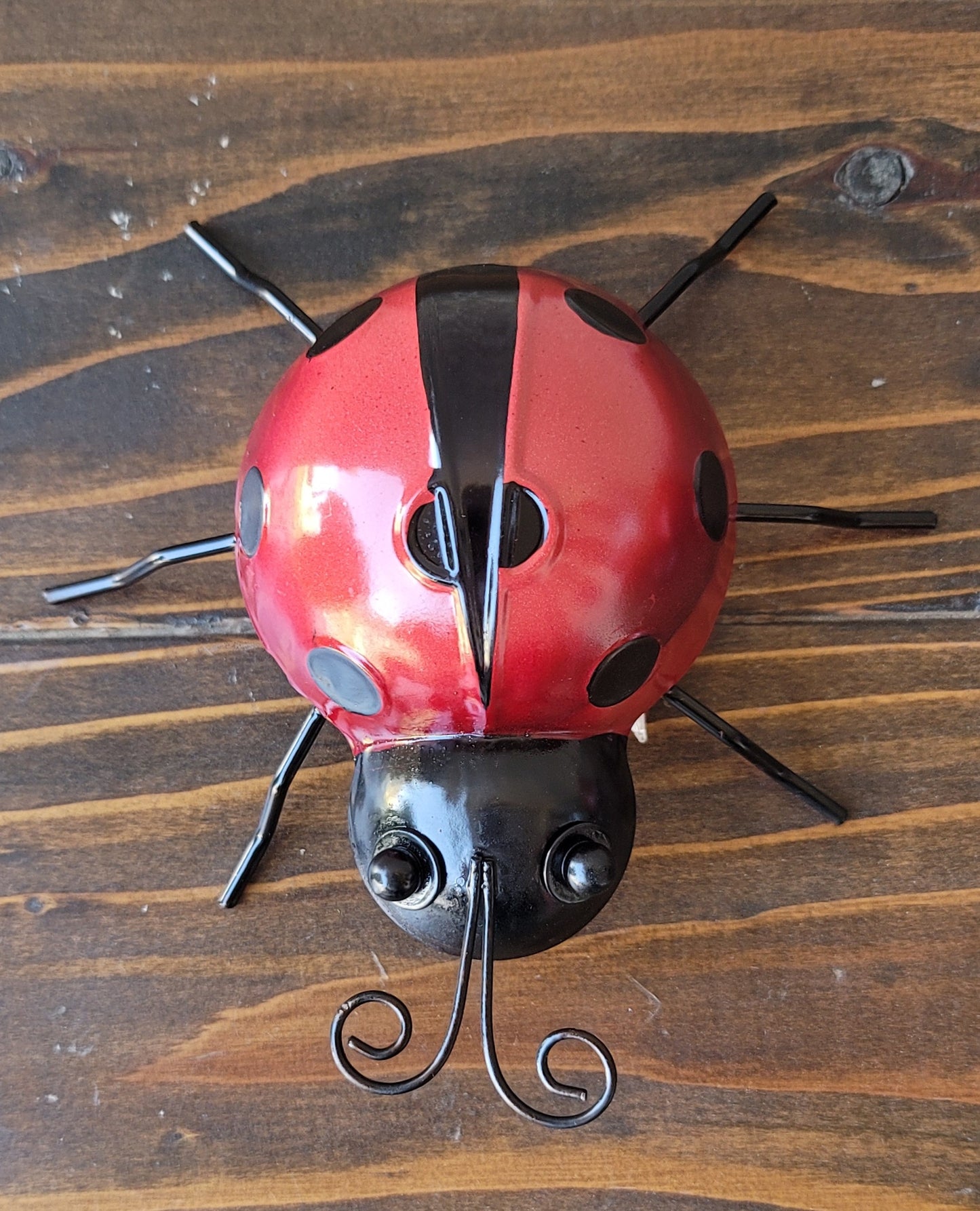 Mountable Ladybug