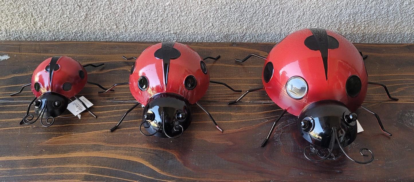 Mountable Ladybug