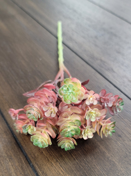 Red Succulent Stem