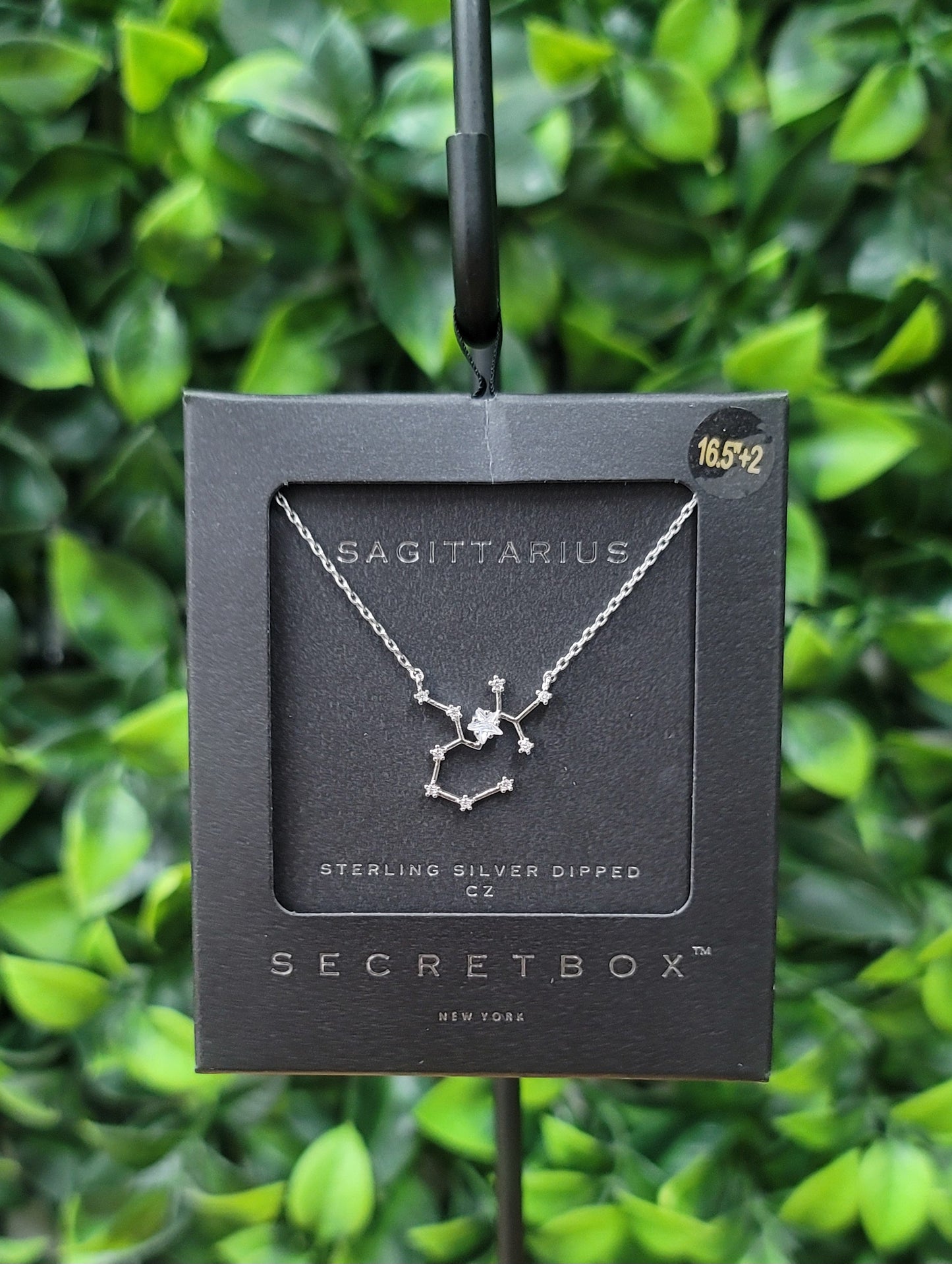 Constellation Necklace