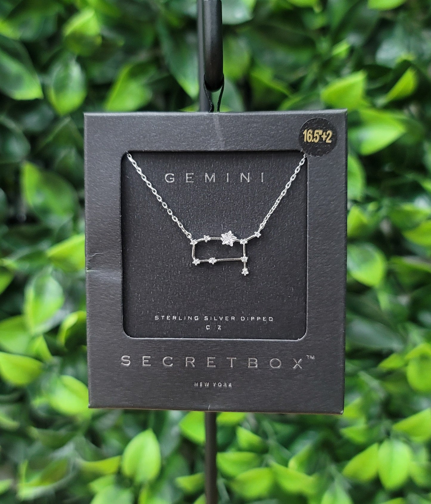 Constellation Necklace