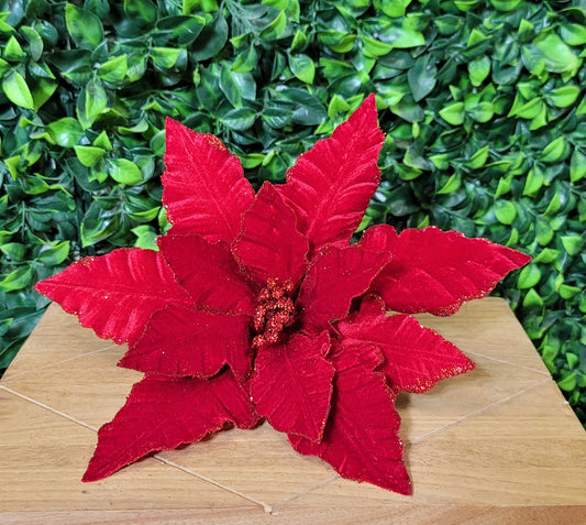 Red Velvet Poinsettia