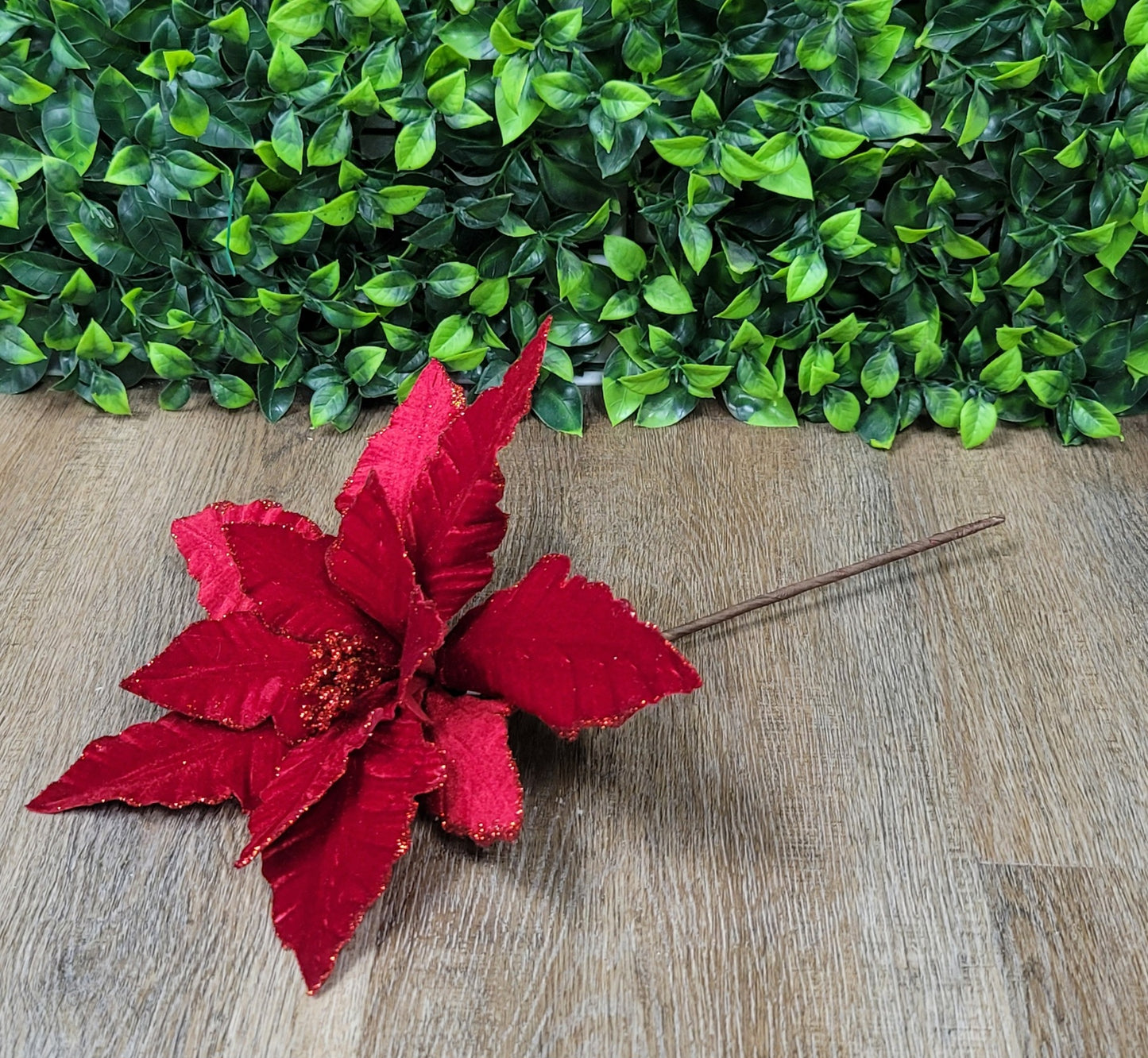 Red Velvet Poinsettia