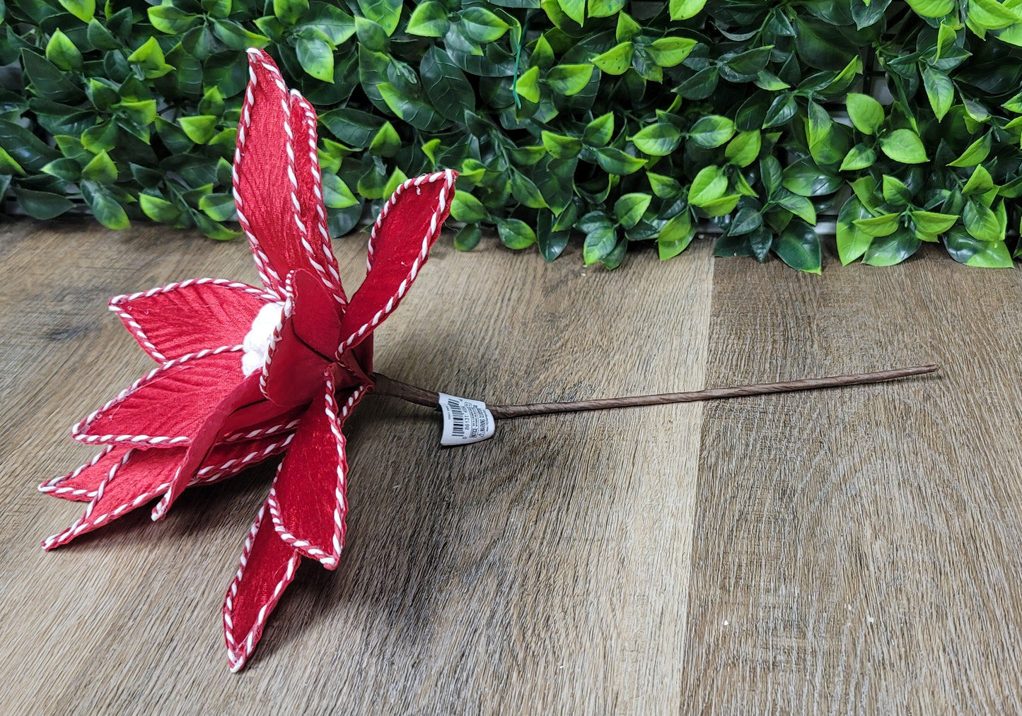 Red Poinsettia (red/white trim)