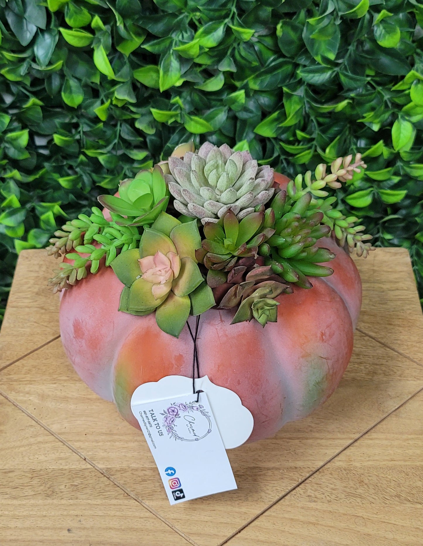 Succulent Pumpkin