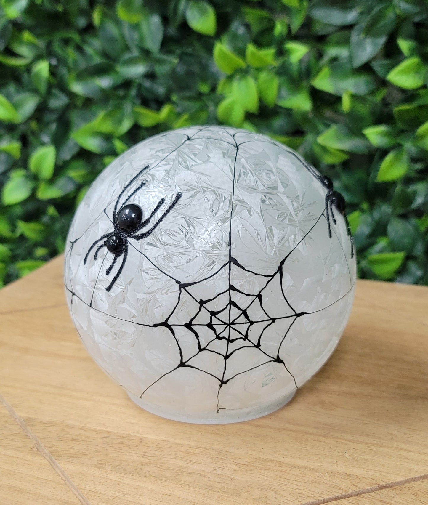 Spider Web Globes