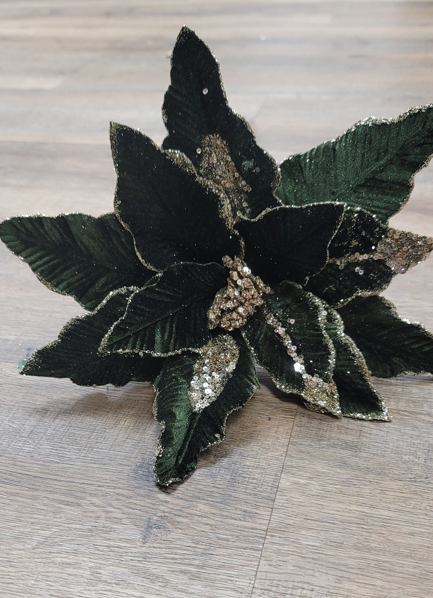 Velvet Green Poinsettia