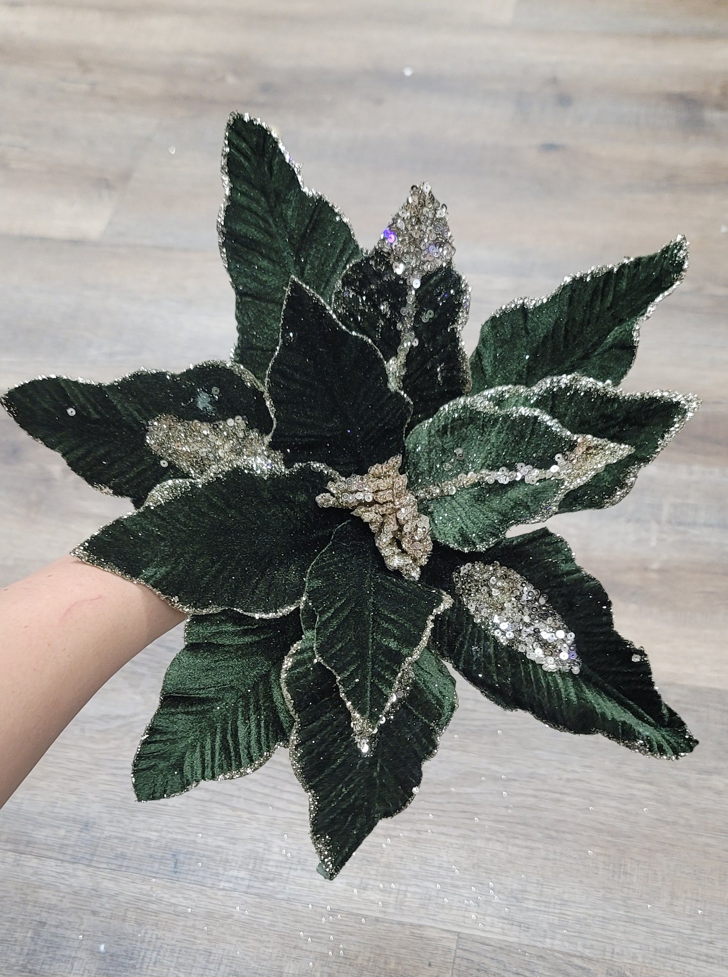 Velvet Green Poinsettia