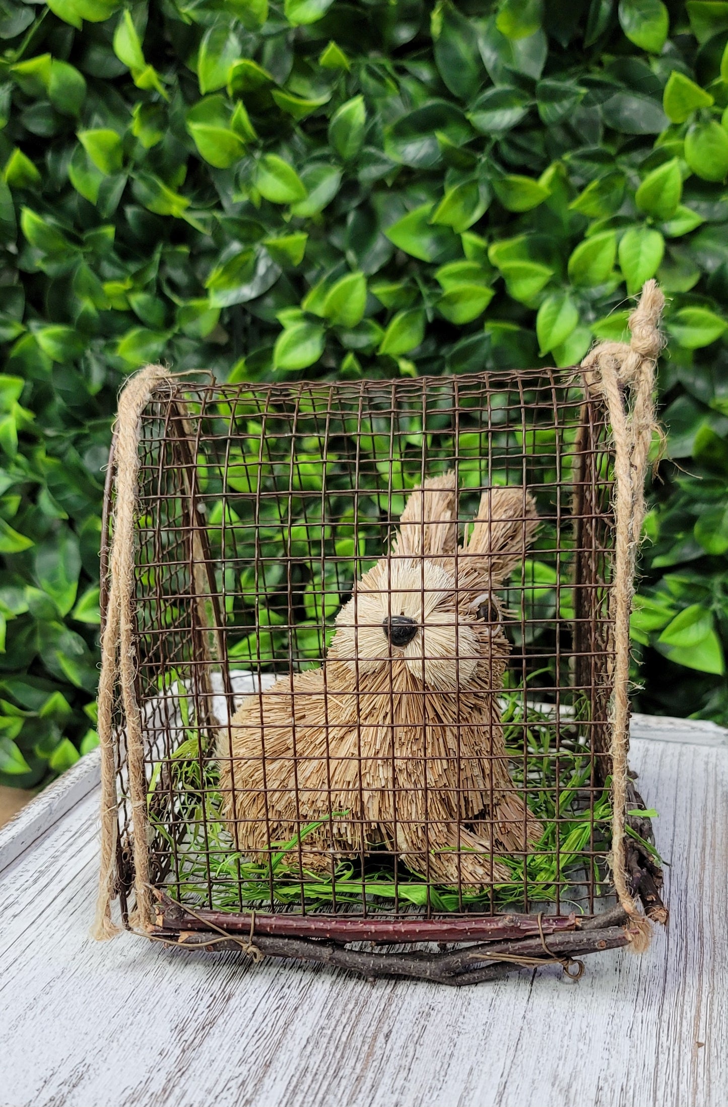 Sisal Bunny w/cage