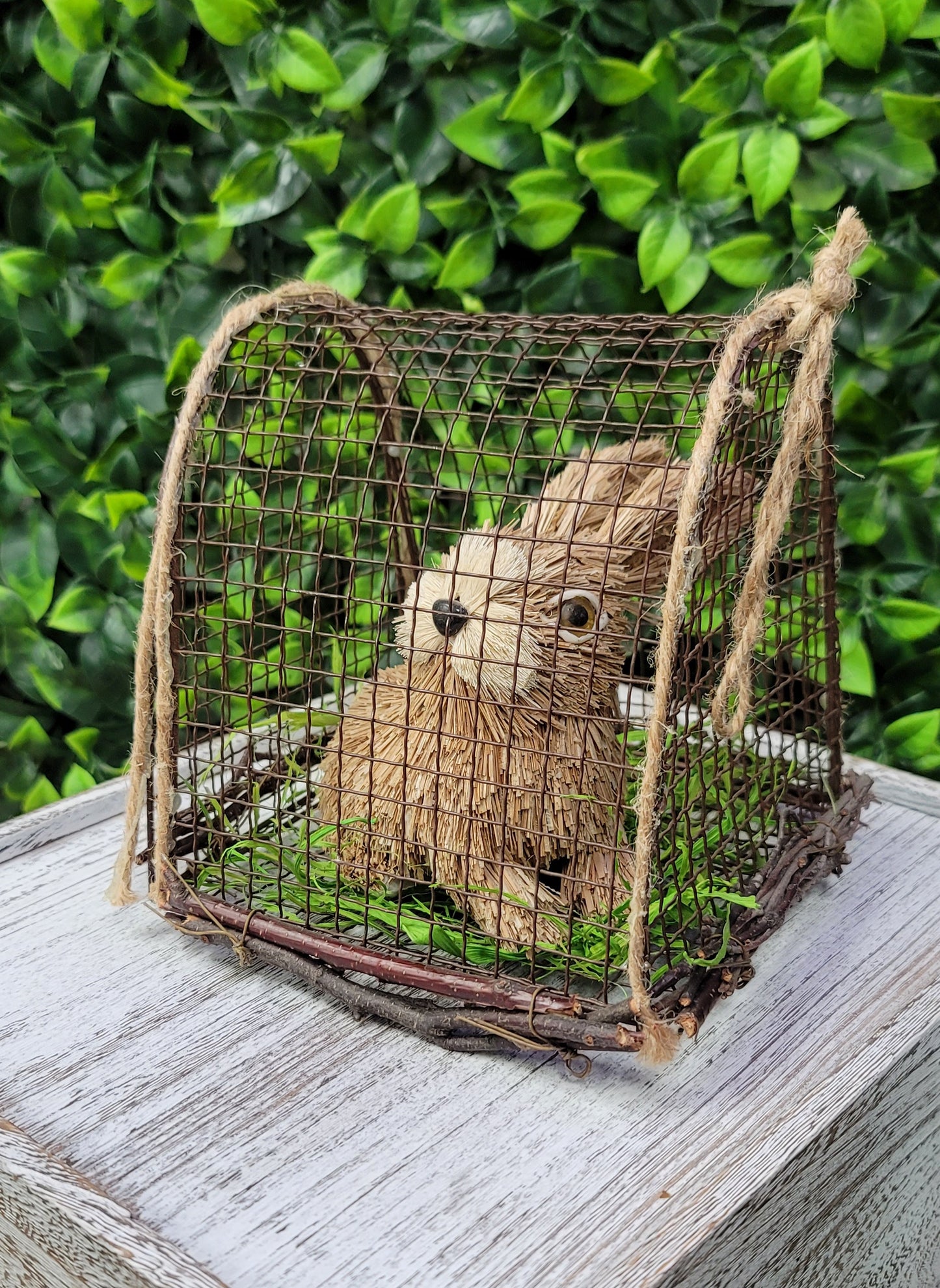 Sisal Bunny w/cage