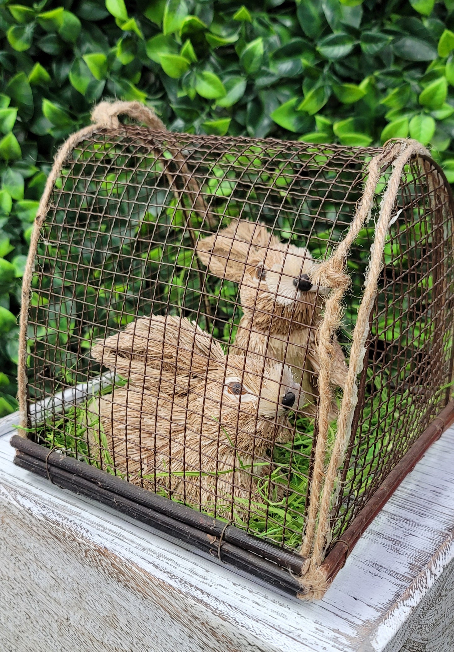 Sisal Bunny w/cage