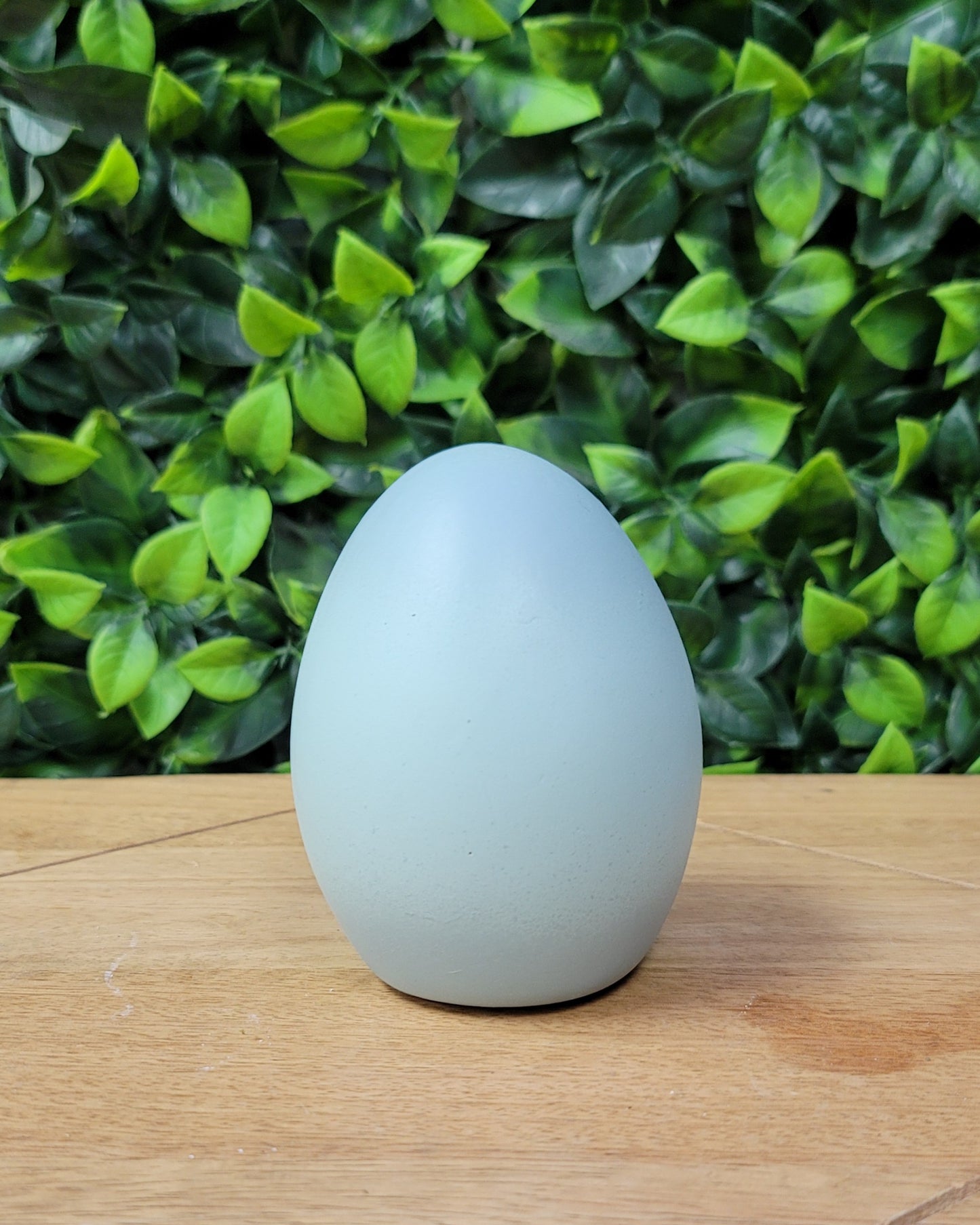 EGG