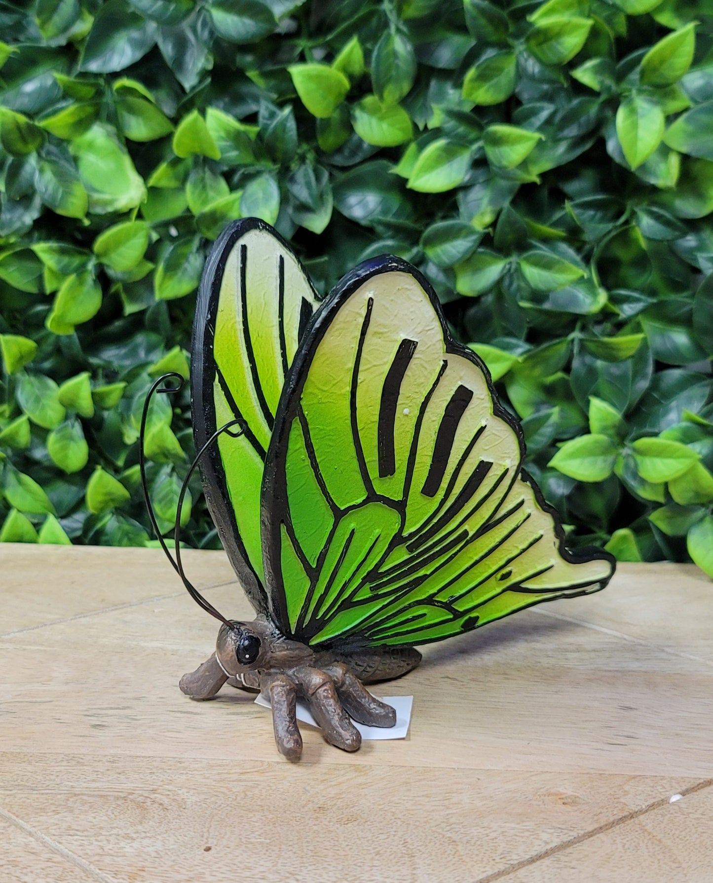 Small Butterfly