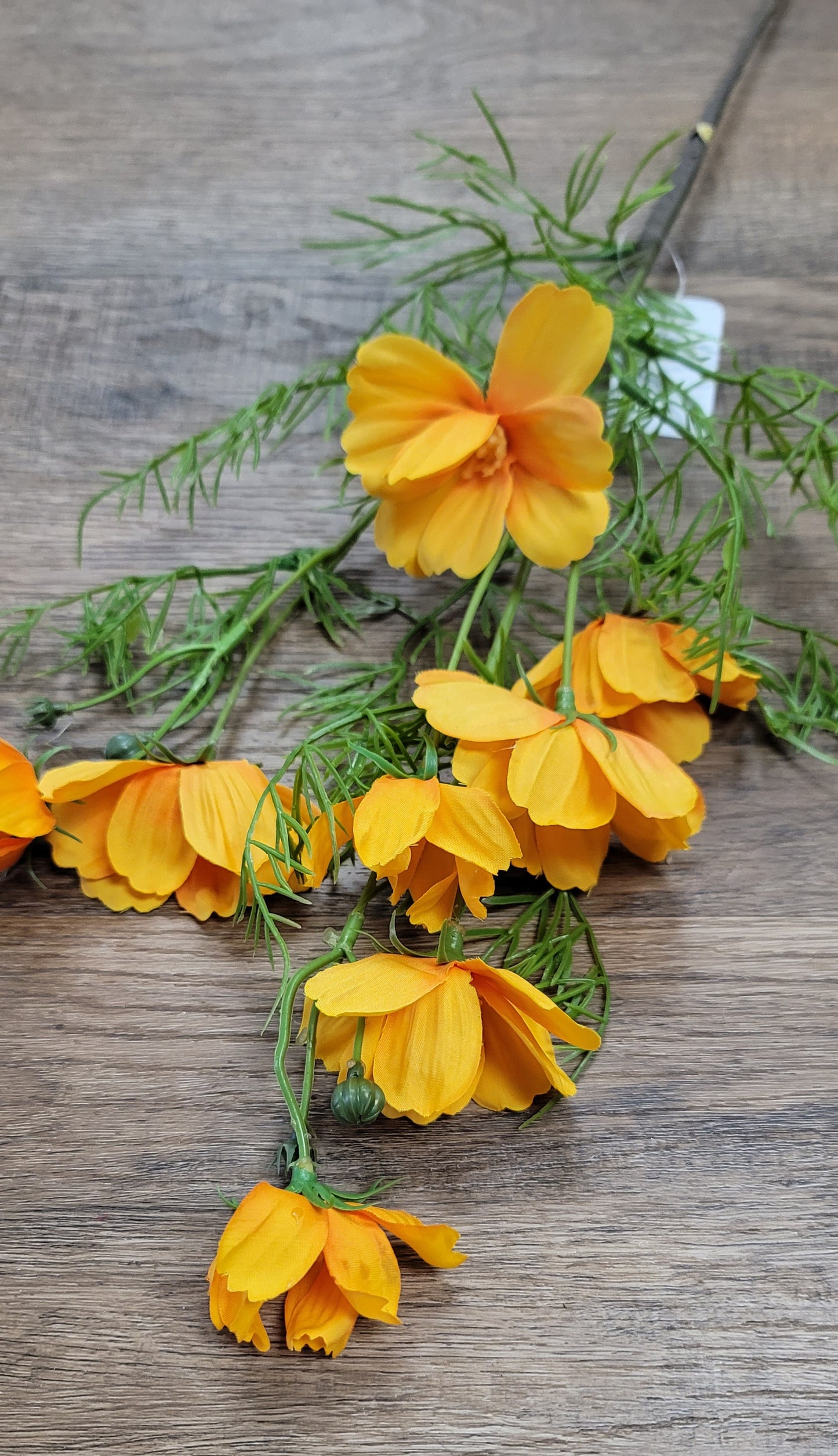 Yellow Cosmos Spray