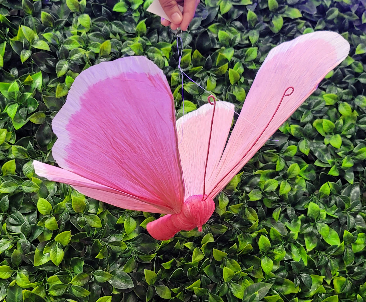 Paper Mache Butterfly