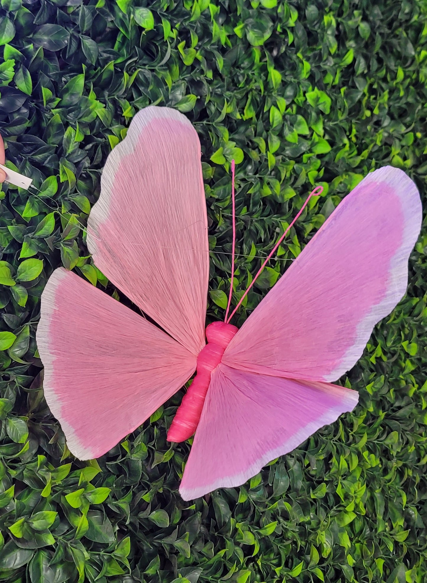 Paper Mache Butterfly