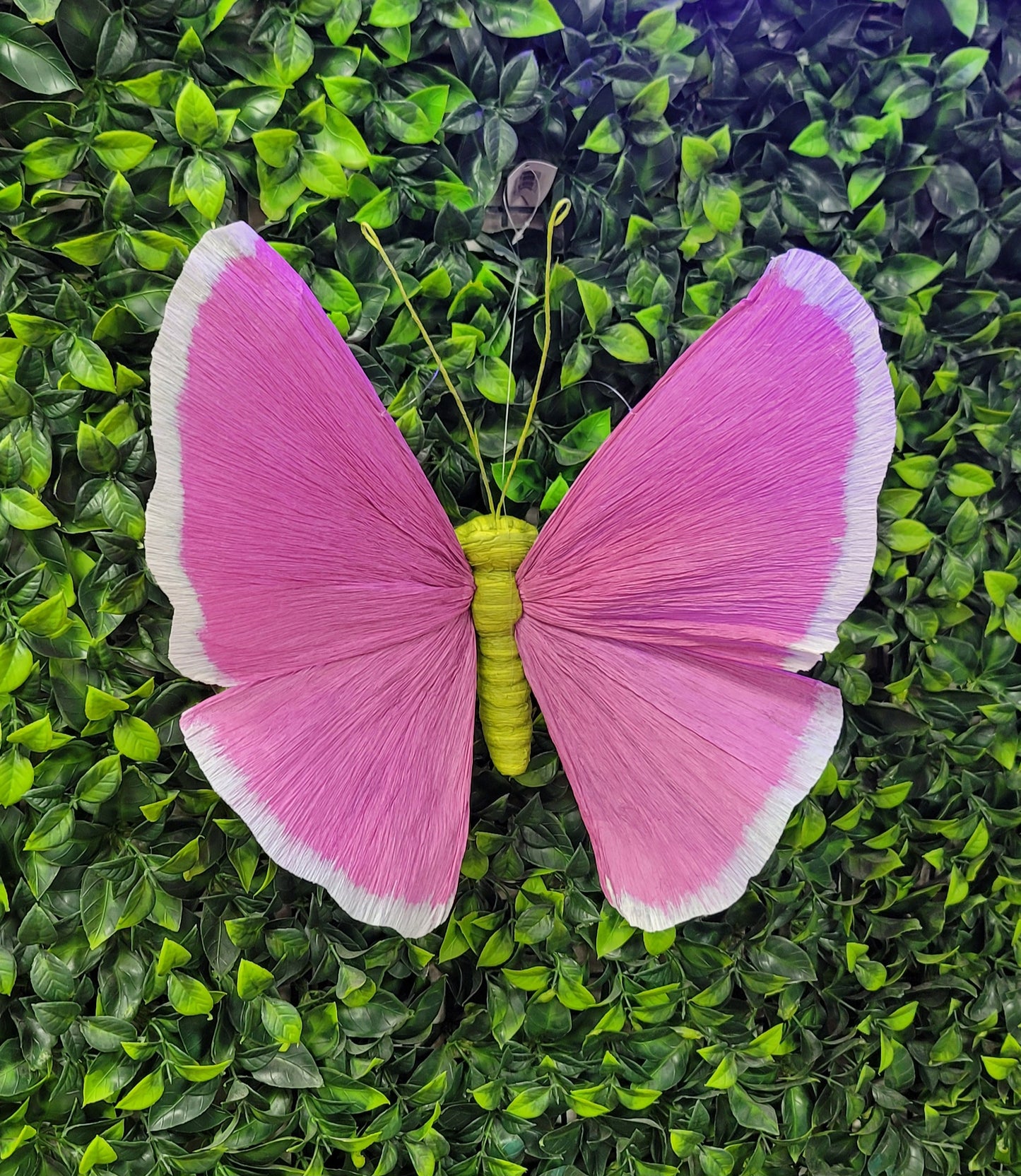 Paper Mache Butterfly