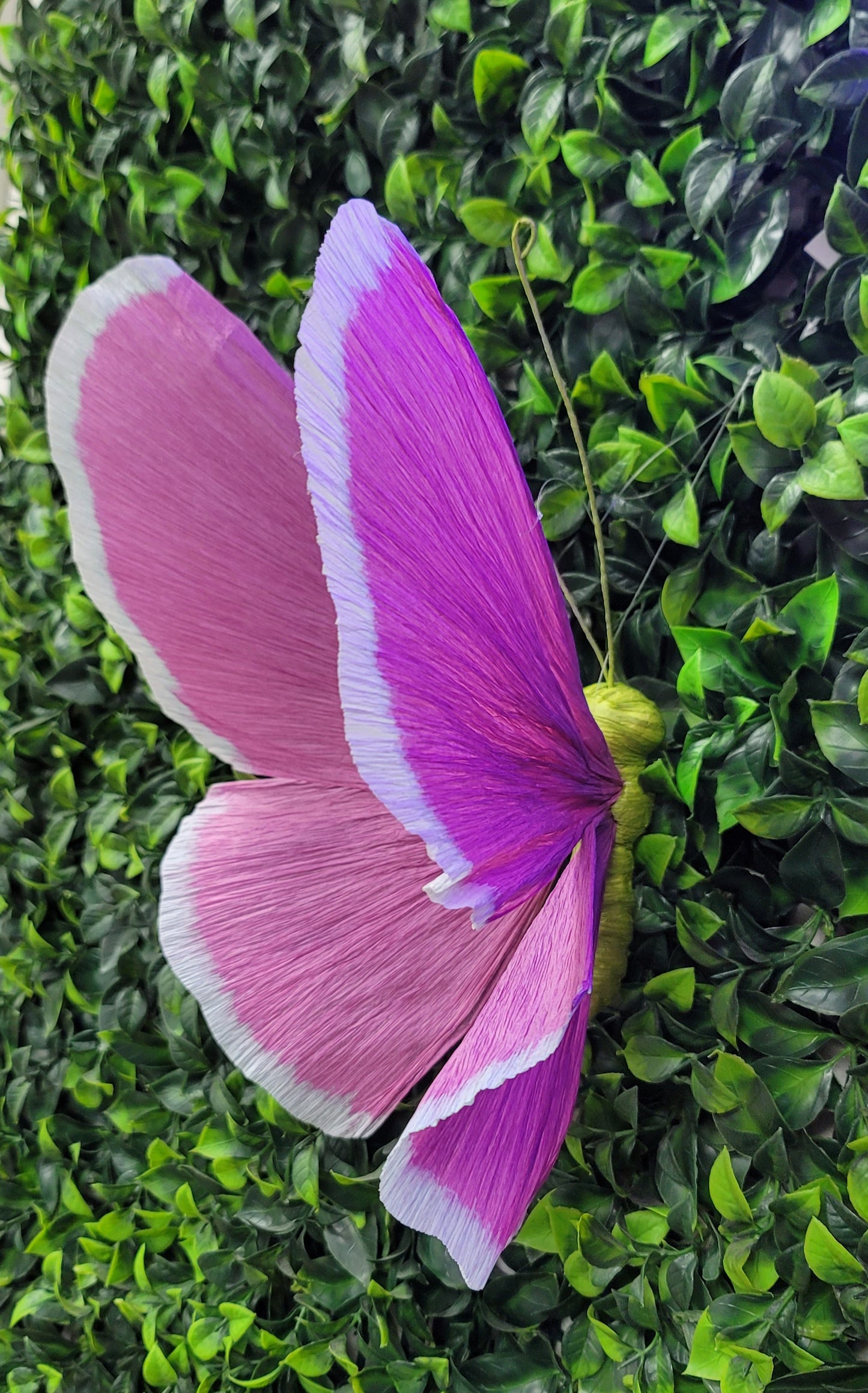 Paper Mache Butterfly