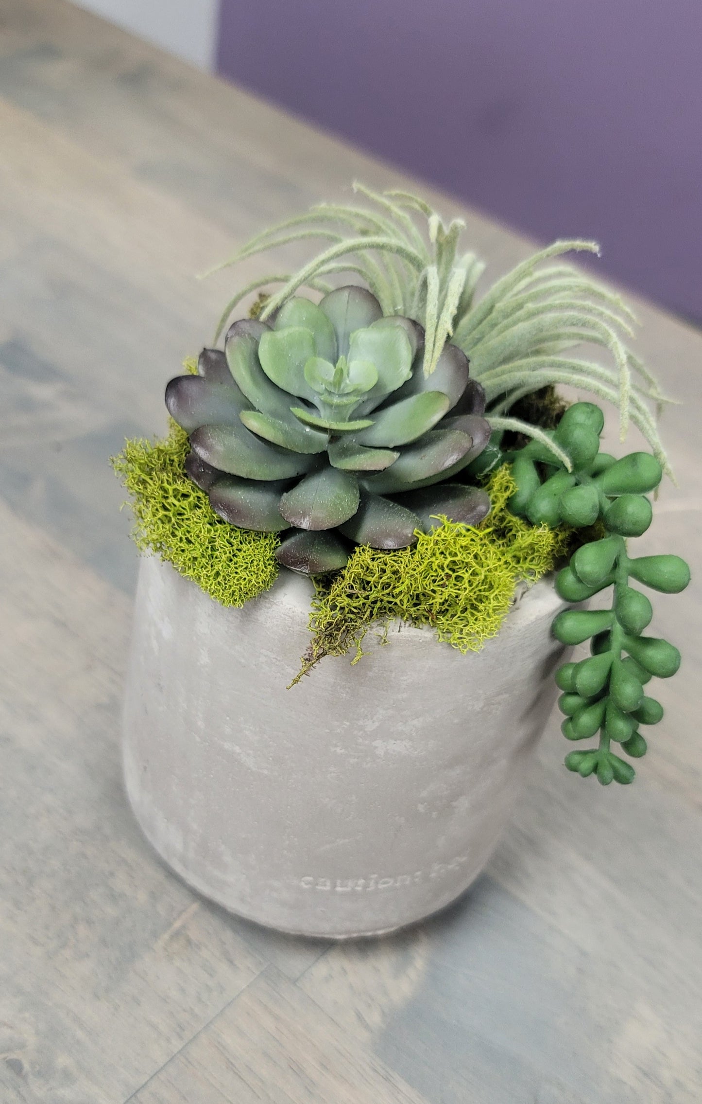 Succulent Arrangement