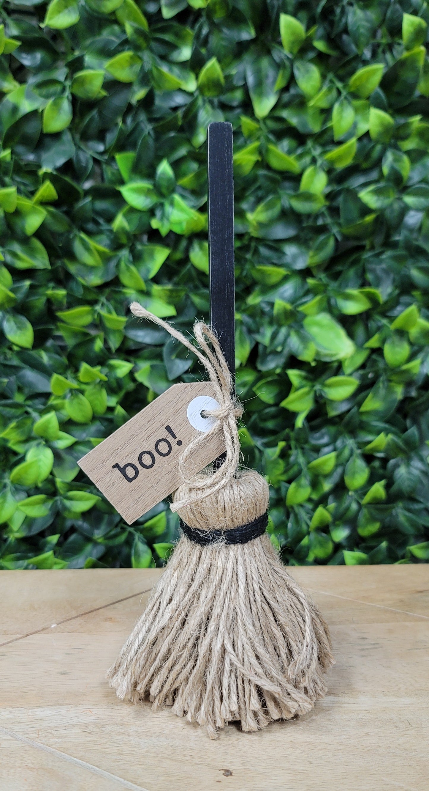 Spooky Broom