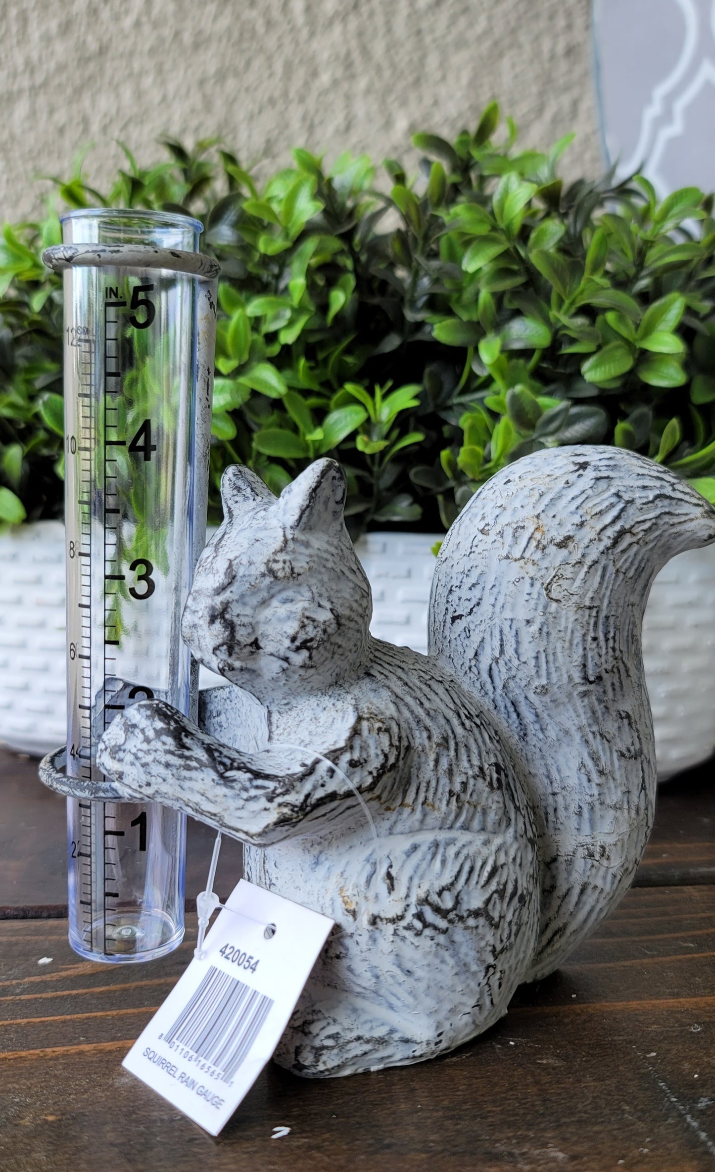 Squirrel Rain Gauge