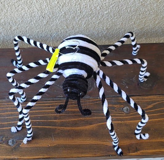 Black & White Spider