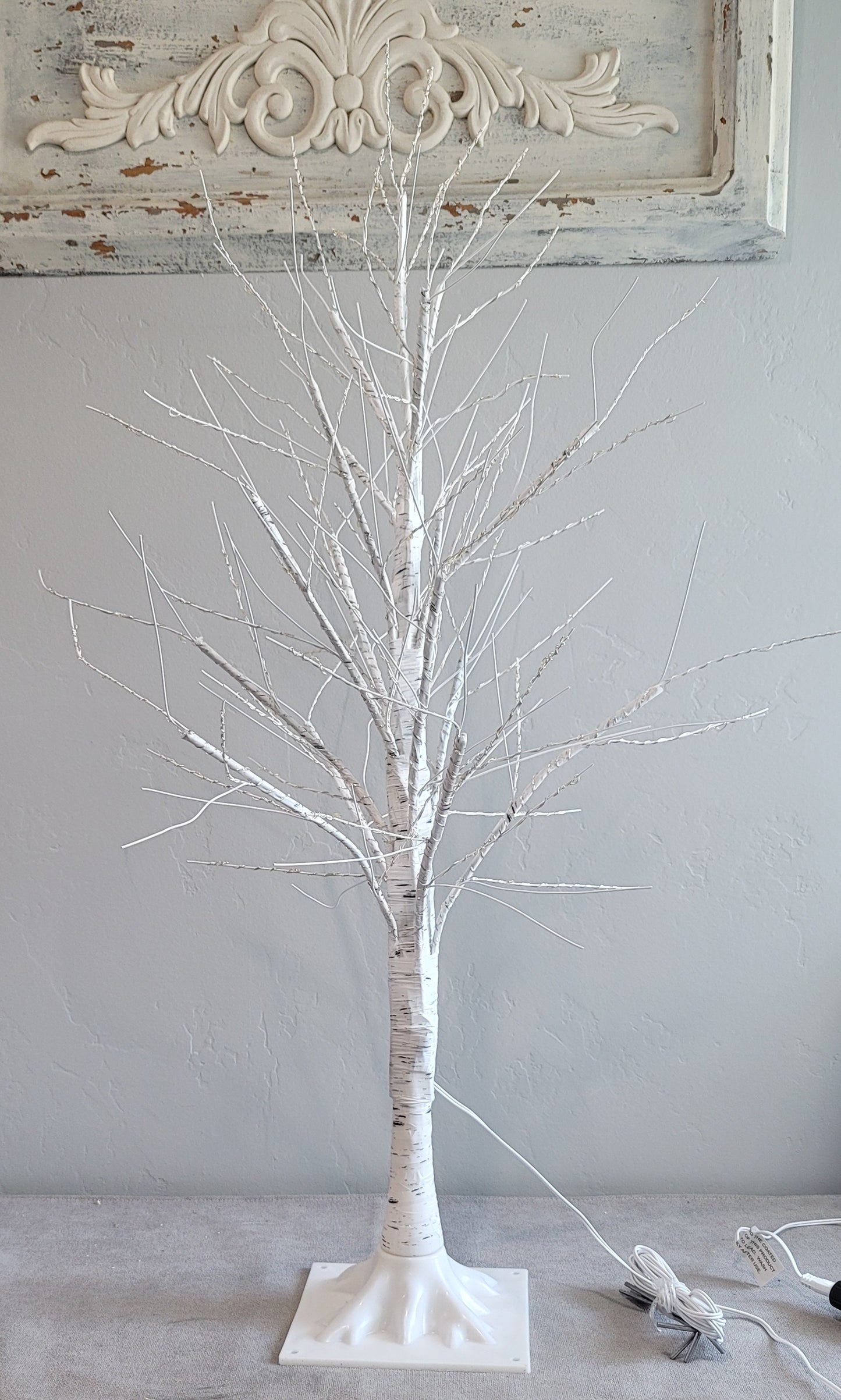 Birch Tree