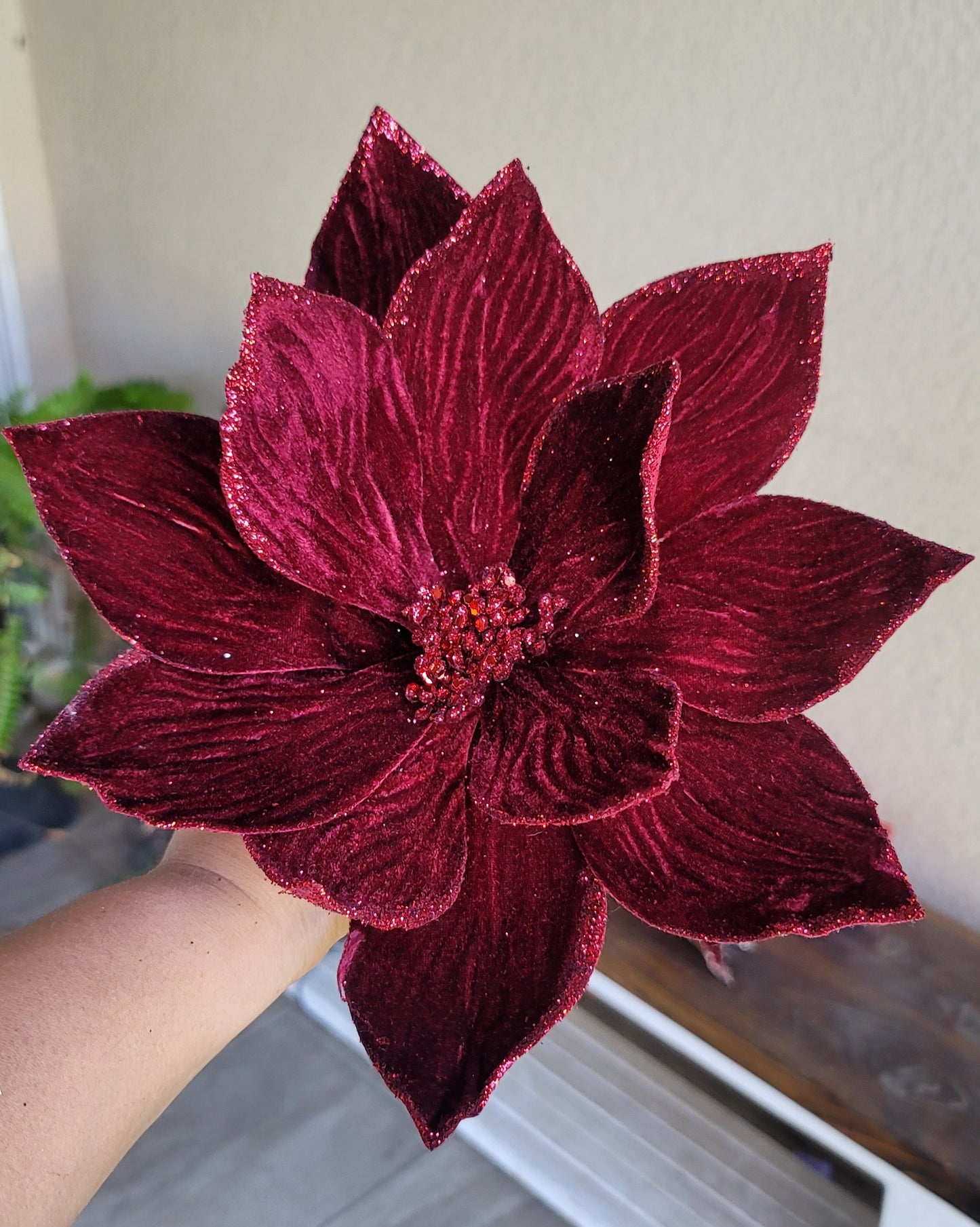 Burgundy Velvet Poinsettia