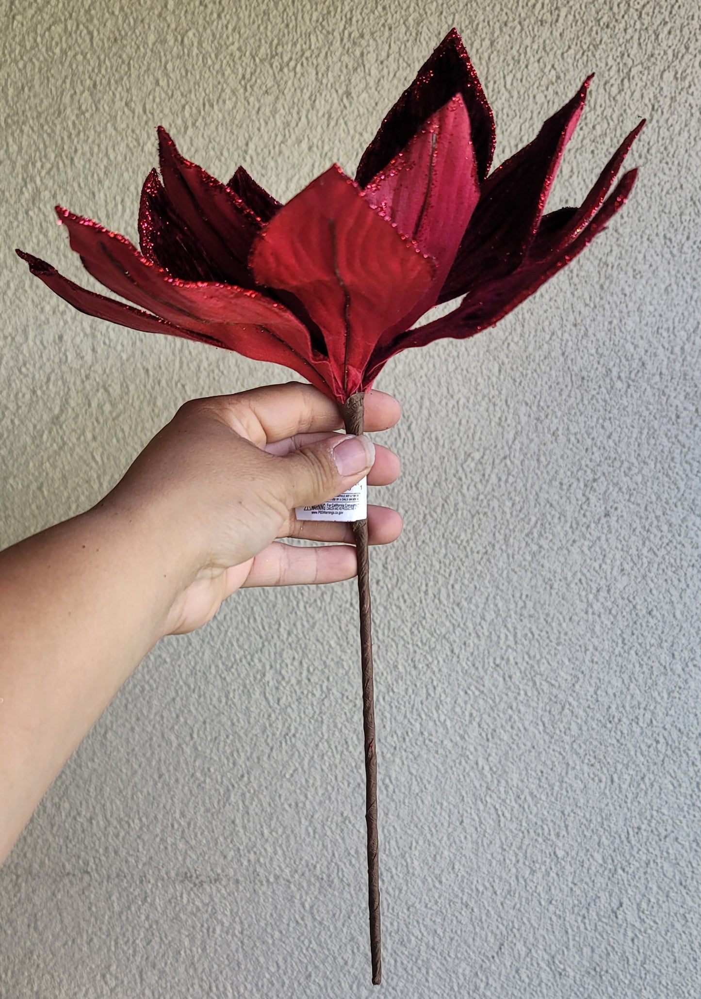 Burgundy Velvet Poinsettia